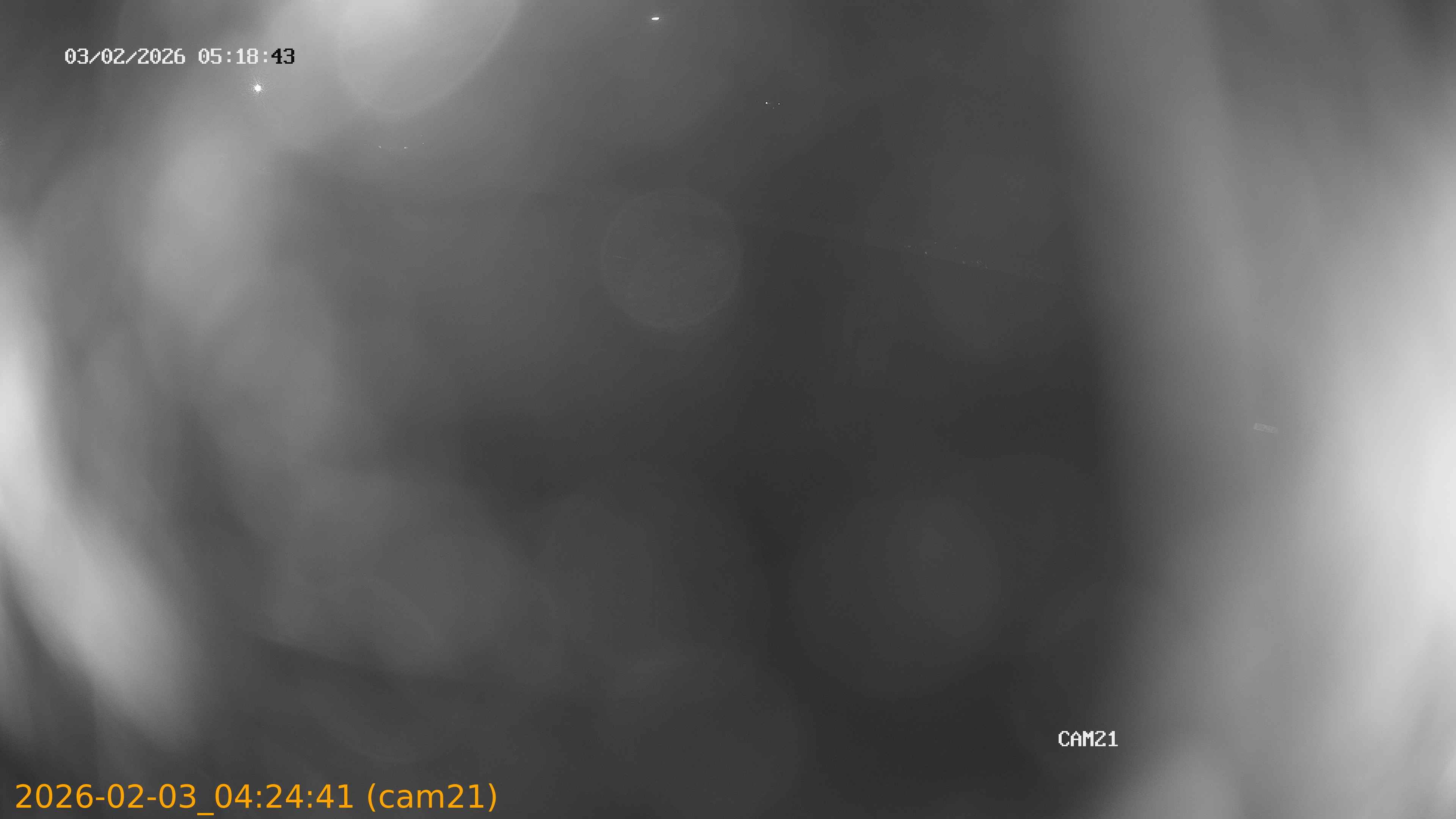 thumbnail_20260203042441