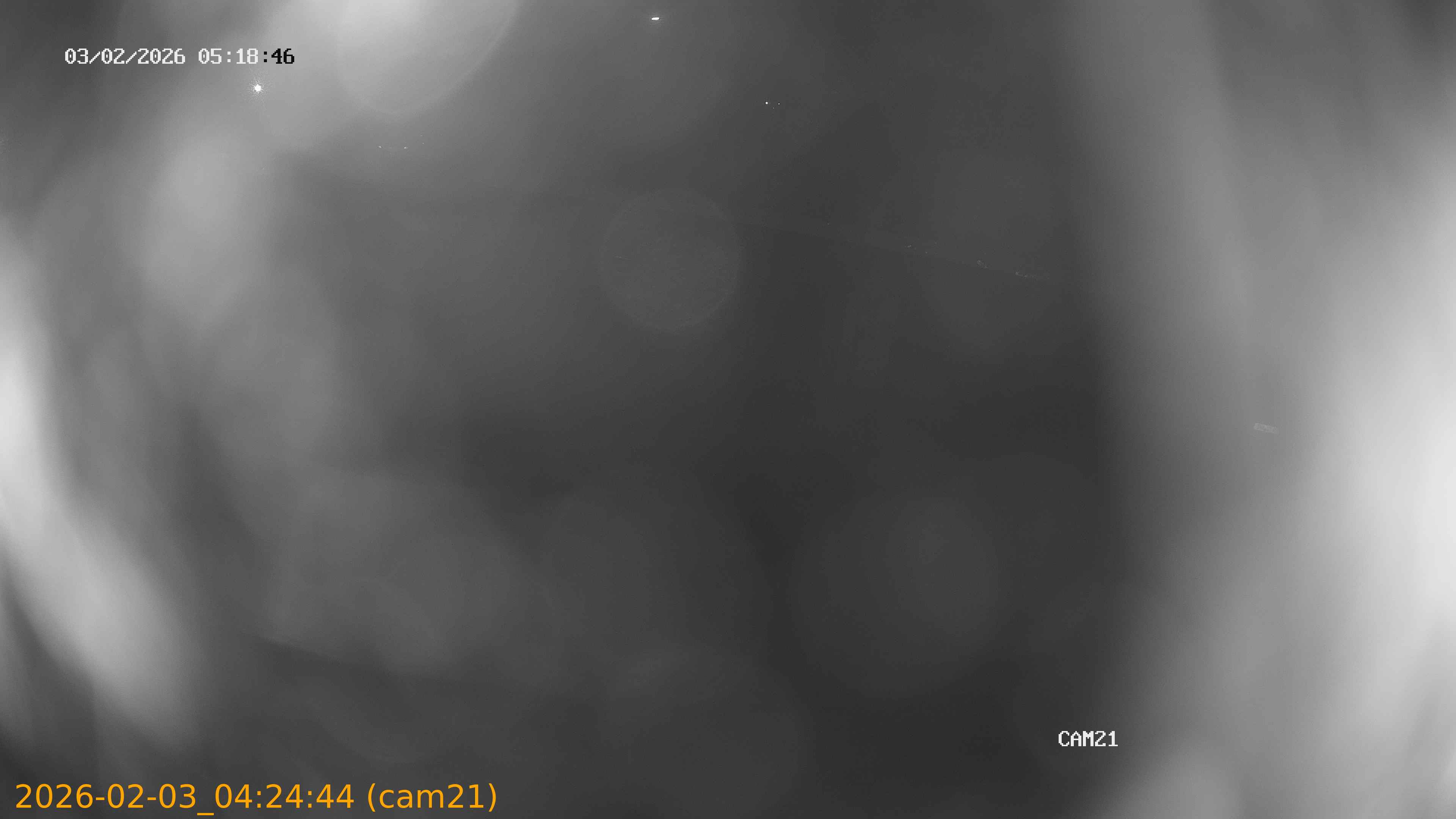 thumbnail_20260203042444