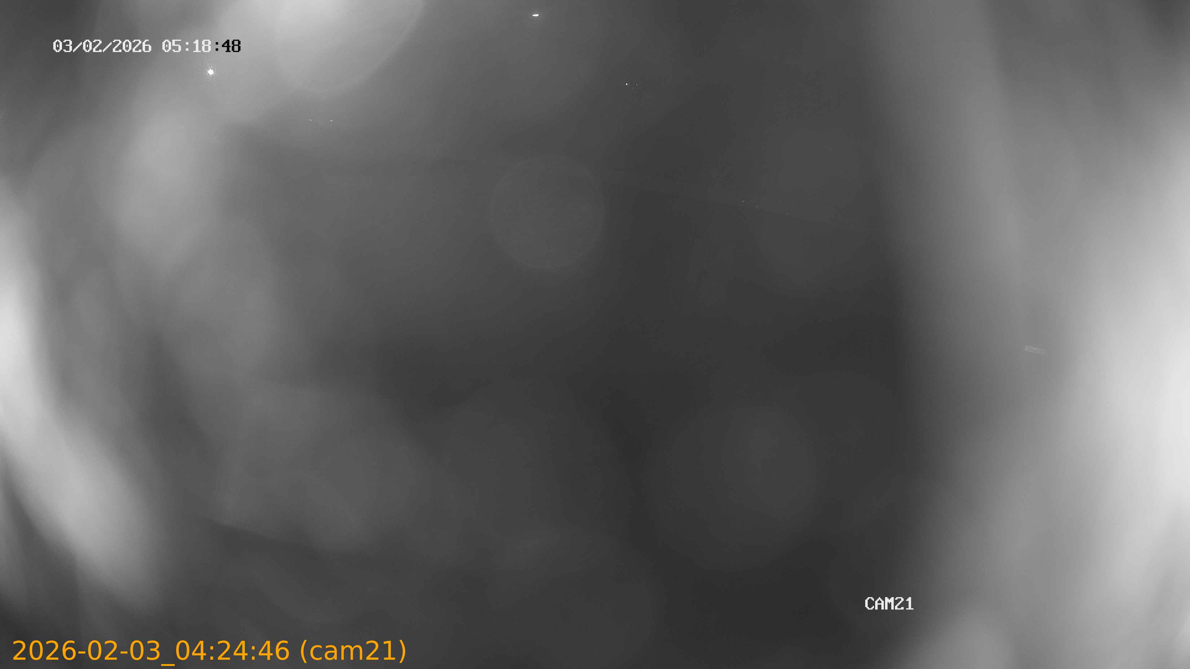 thumbnail_20260203042446