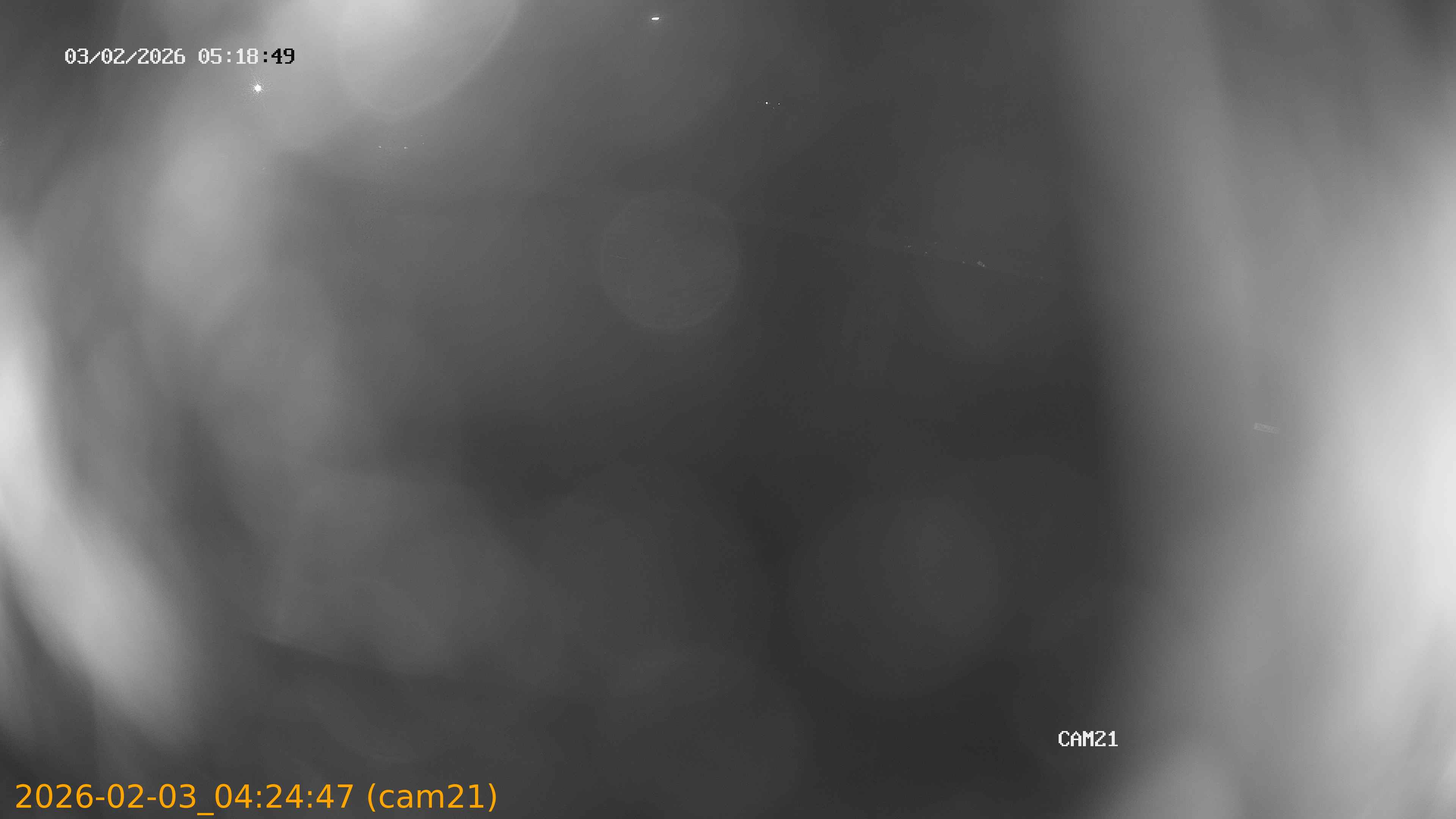 thumbnail_20260203042447