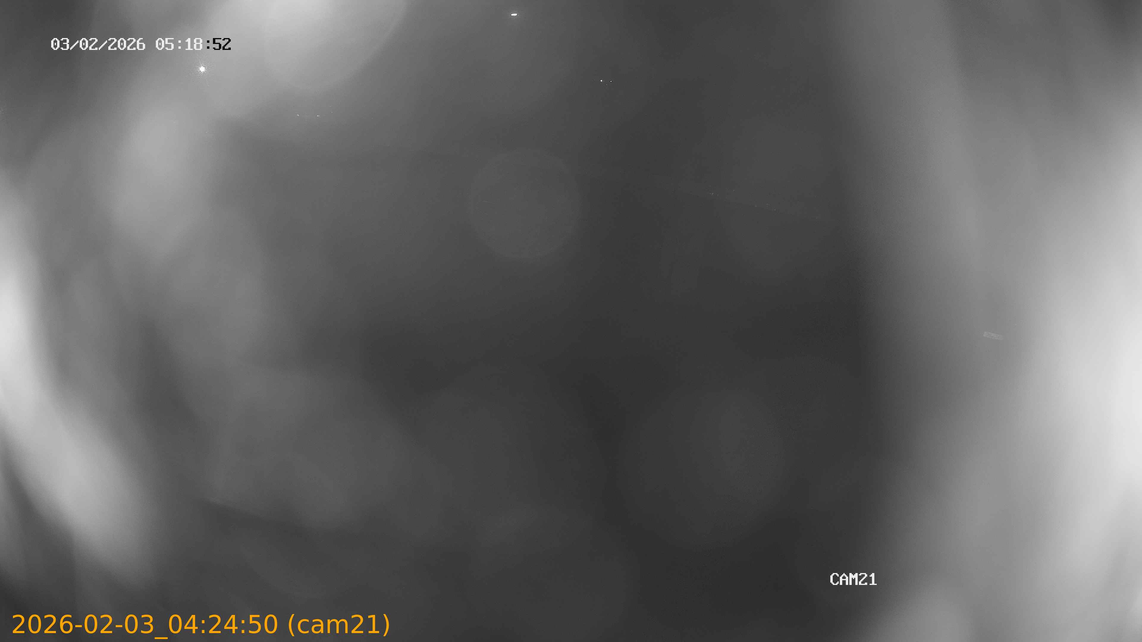 thumbnail_20260203042450