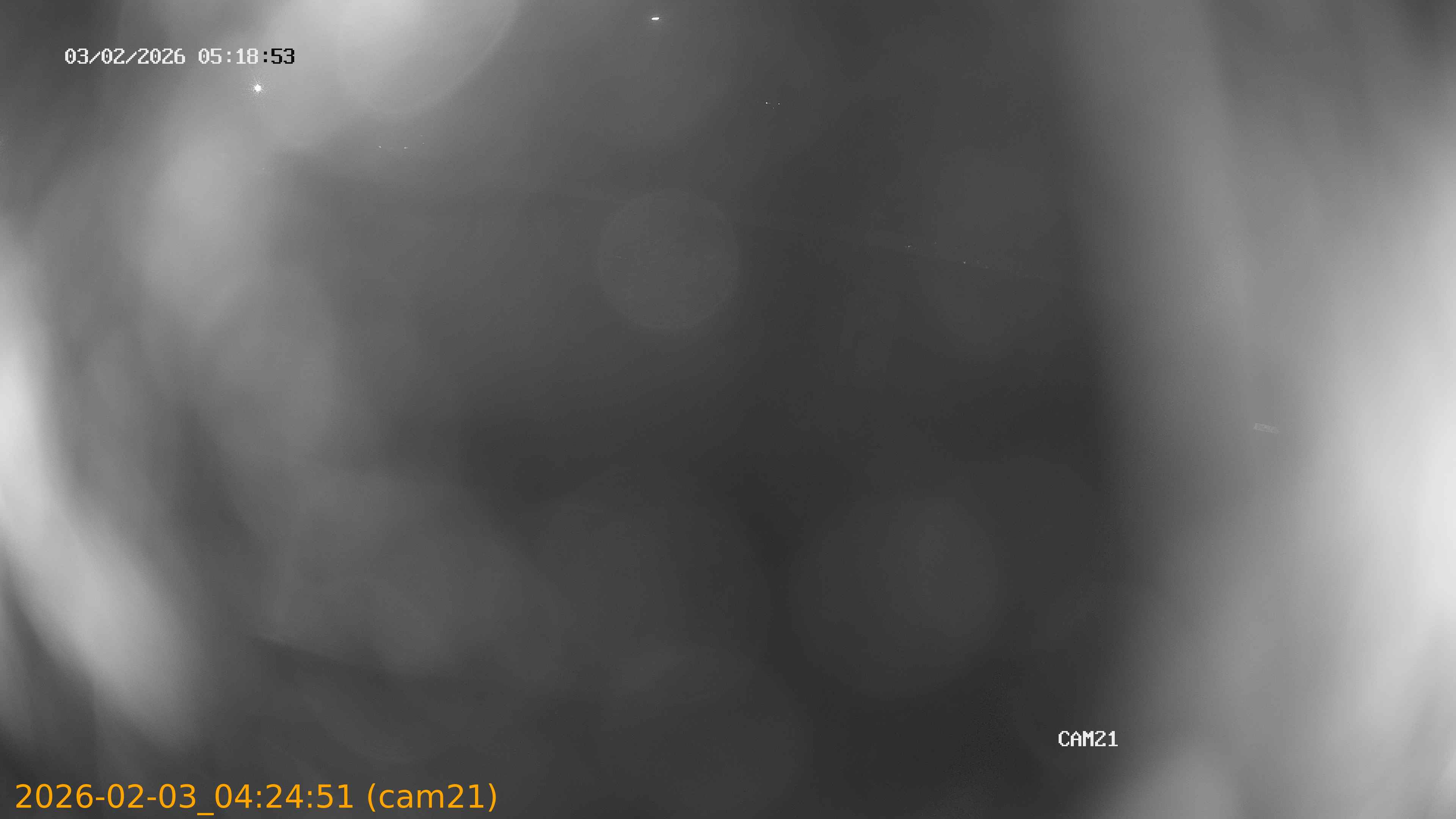 thumbnail_20260203042451