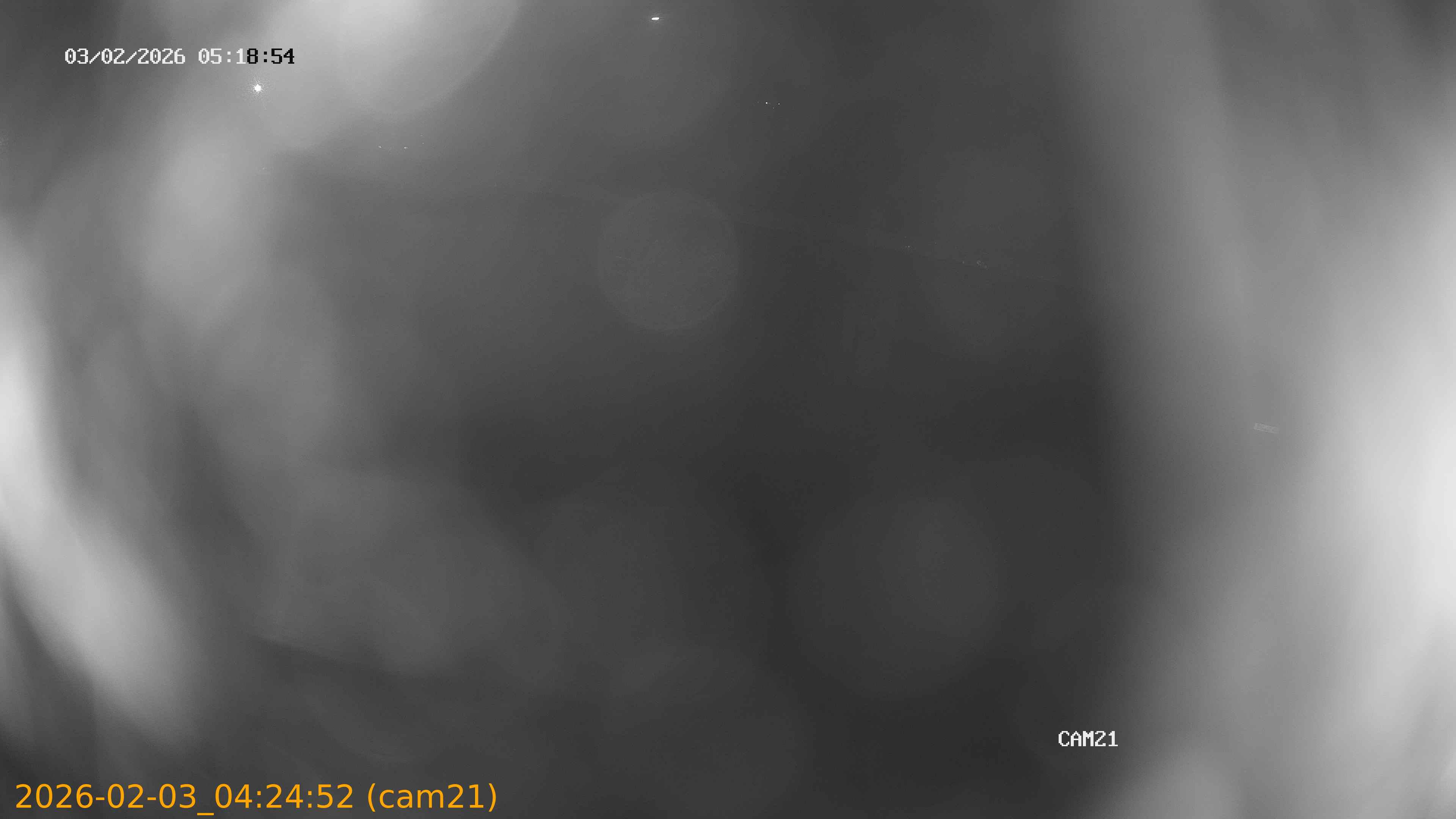 thumbnail_20260203042452