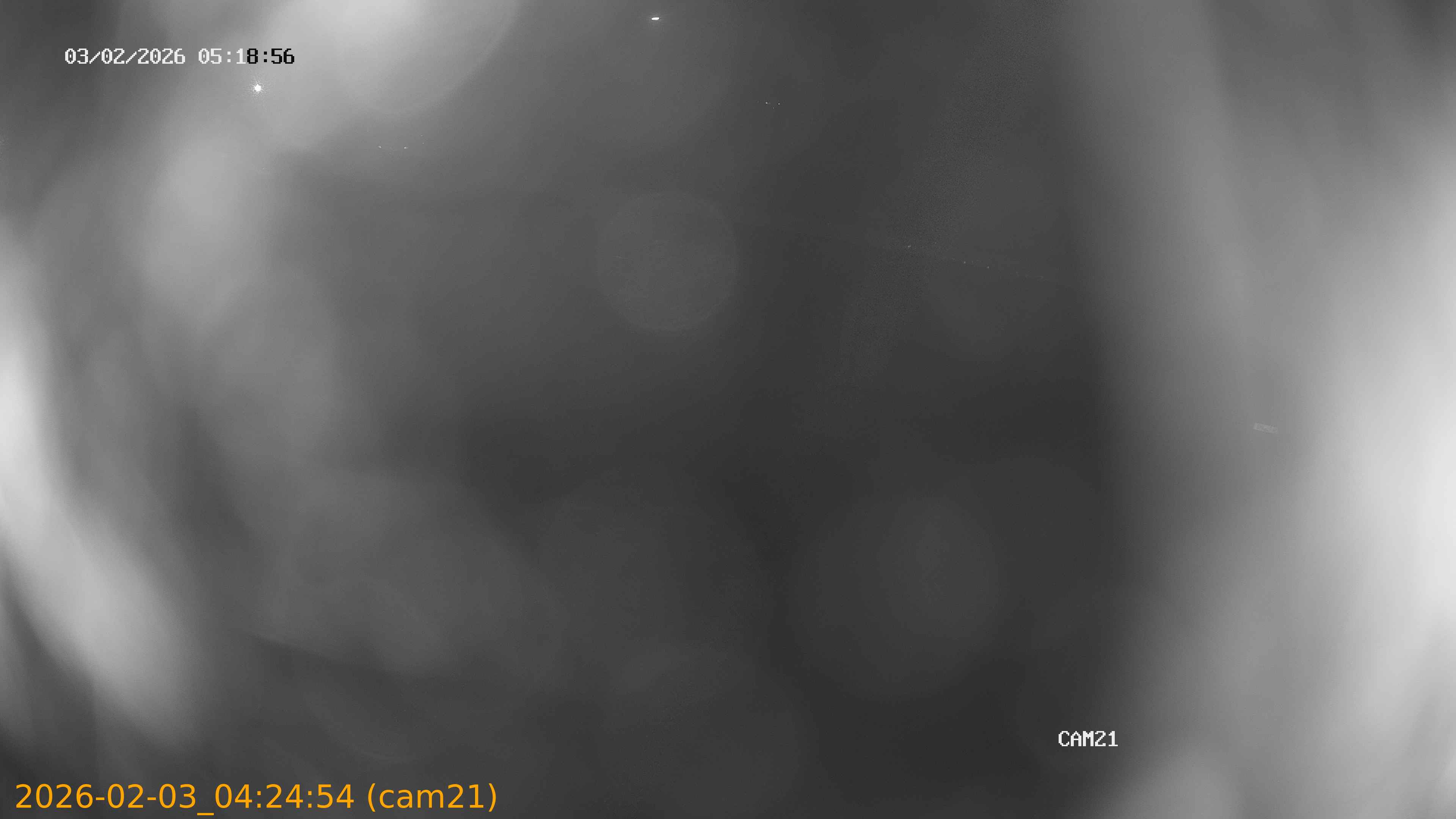 thumbnail_20260203042454