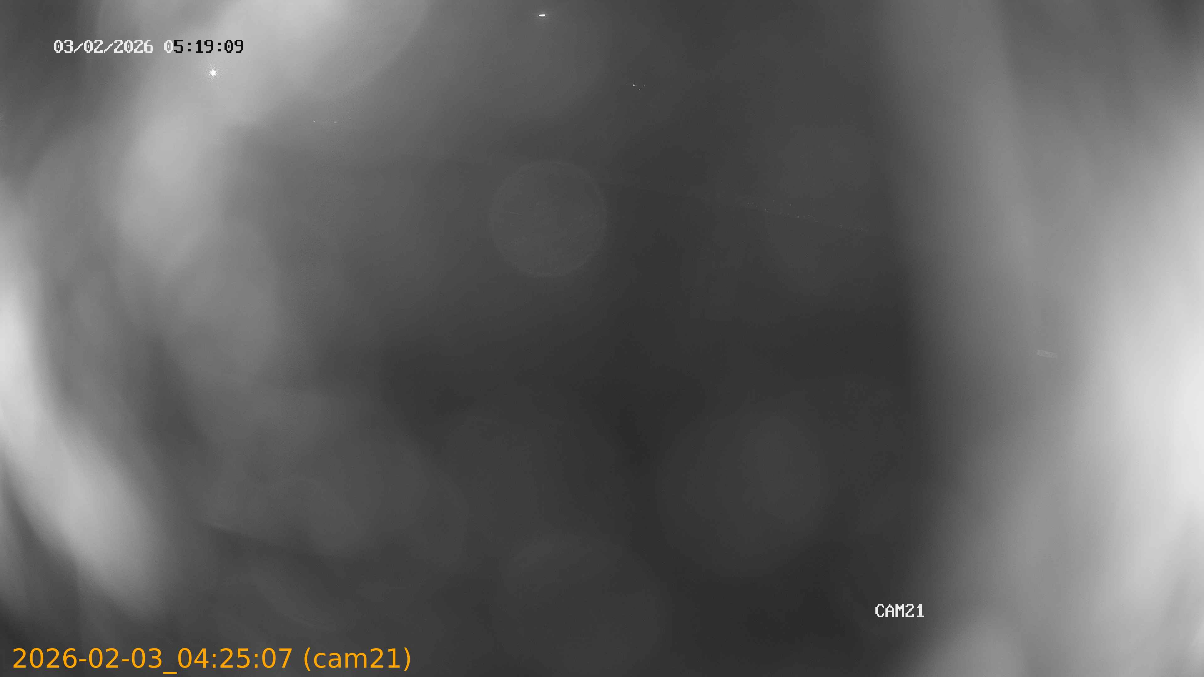 thumbnail_20260203042507