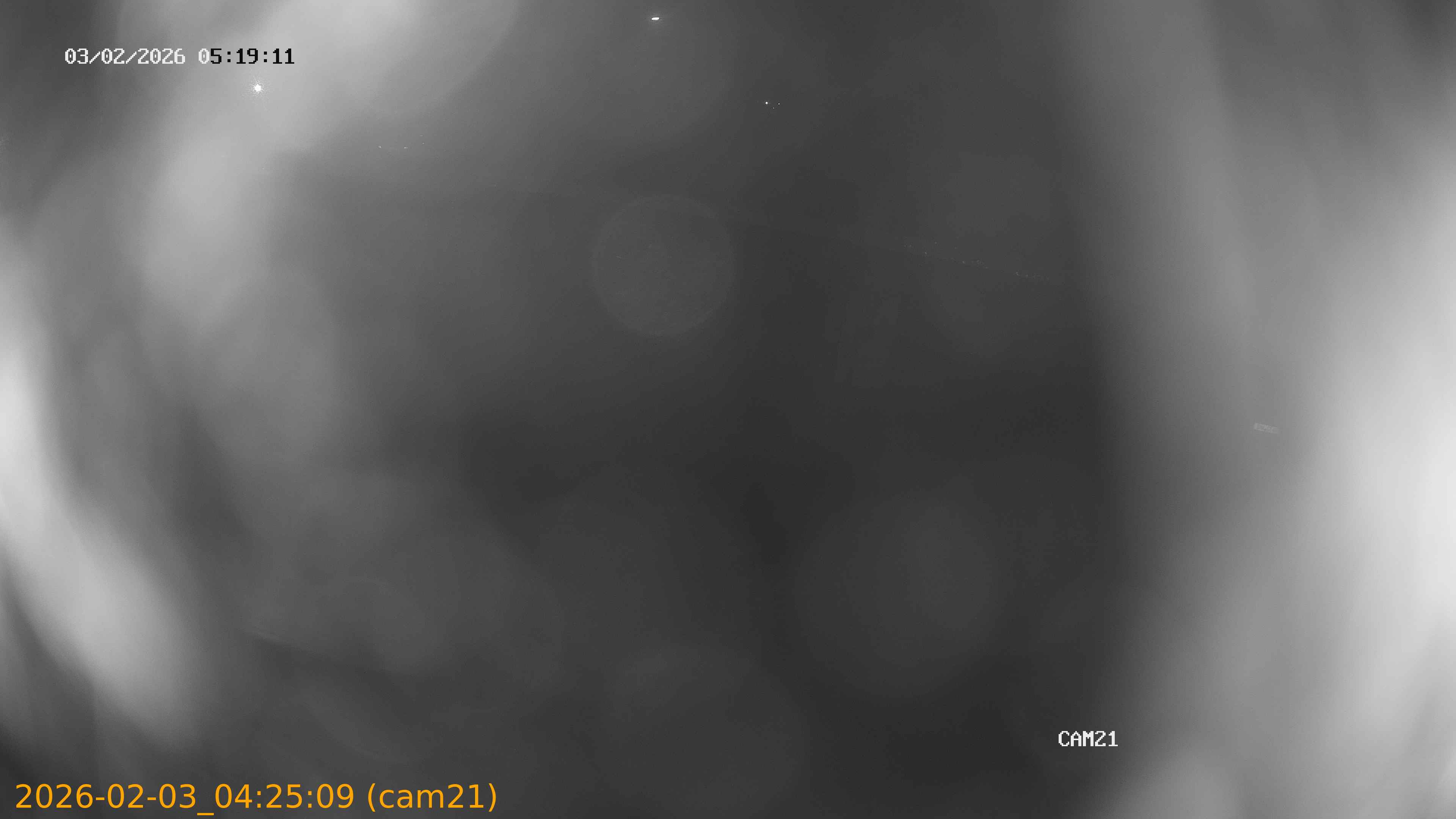 thumbnail_20260203042509