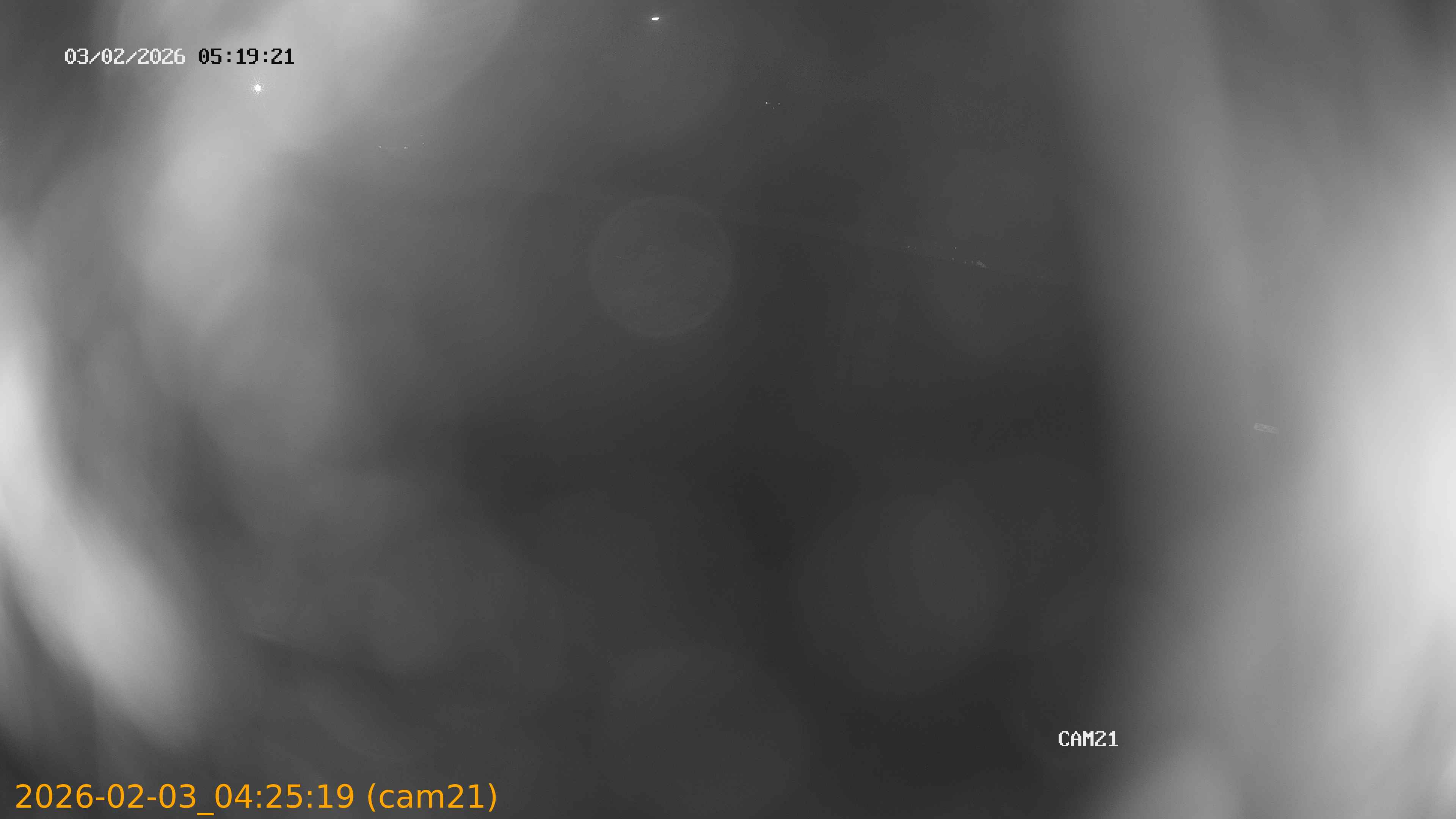 thumbnail_20260203042519