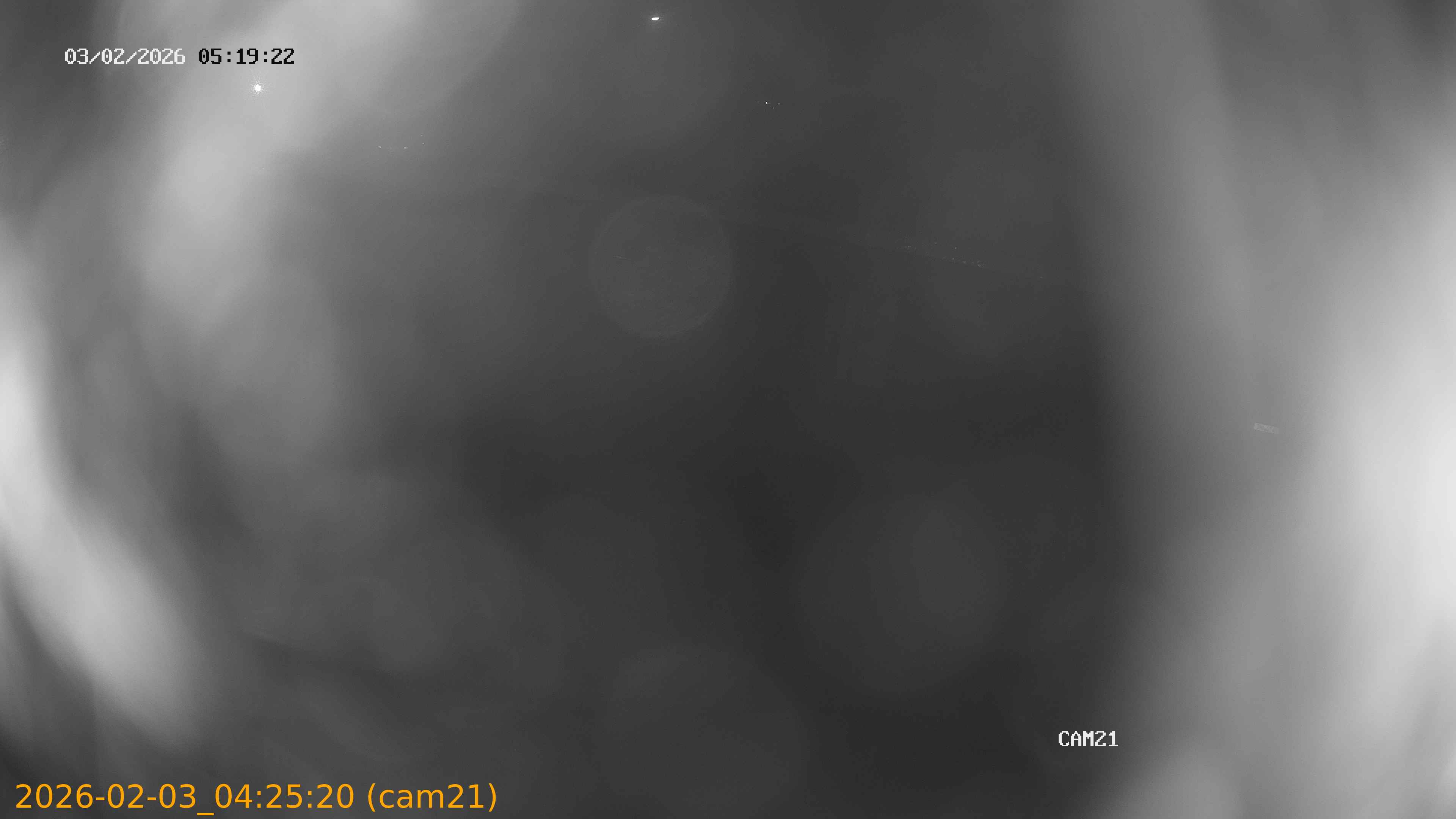 thumbnail_20260203042520