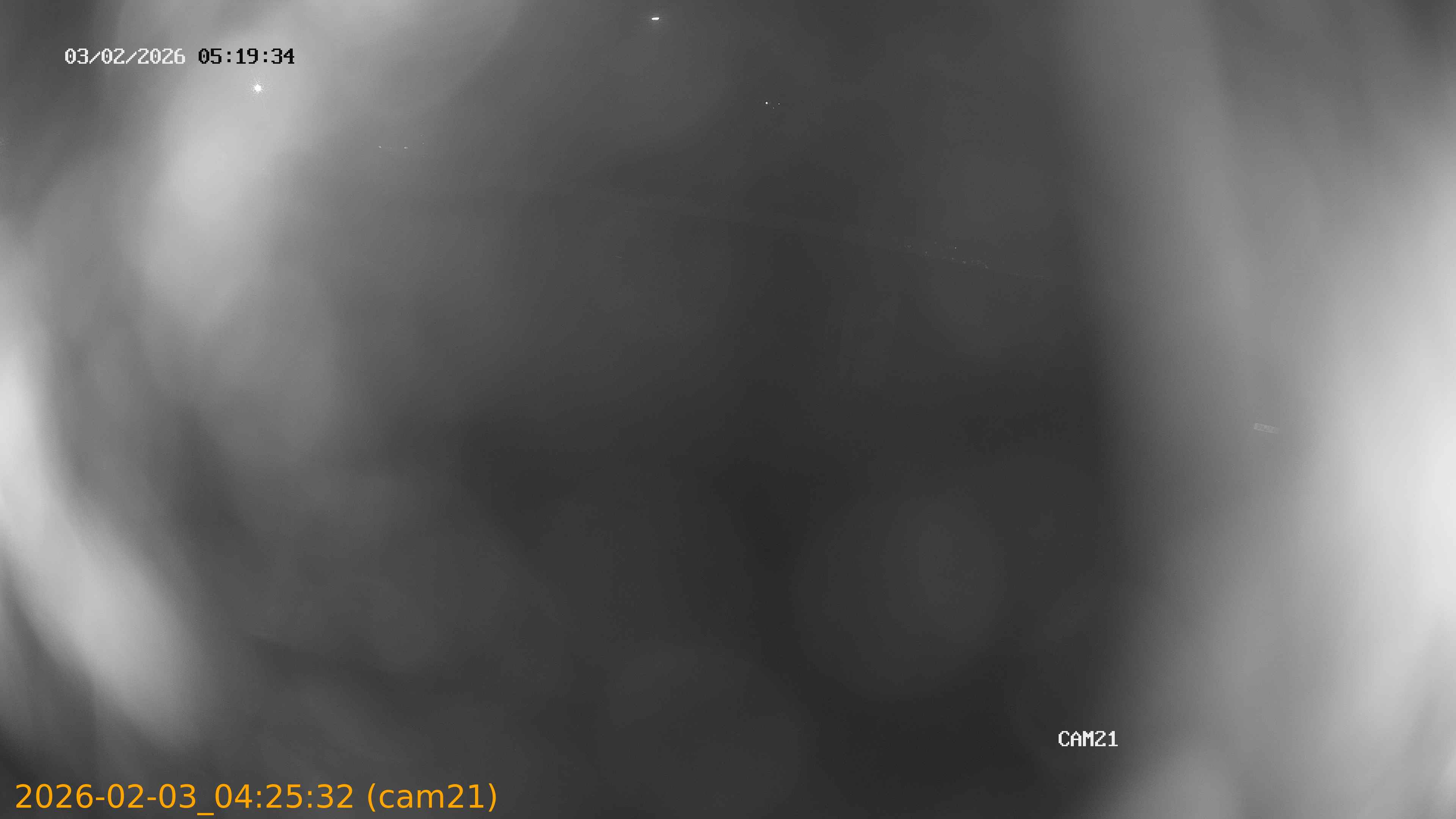 thumbnail_20260203042532