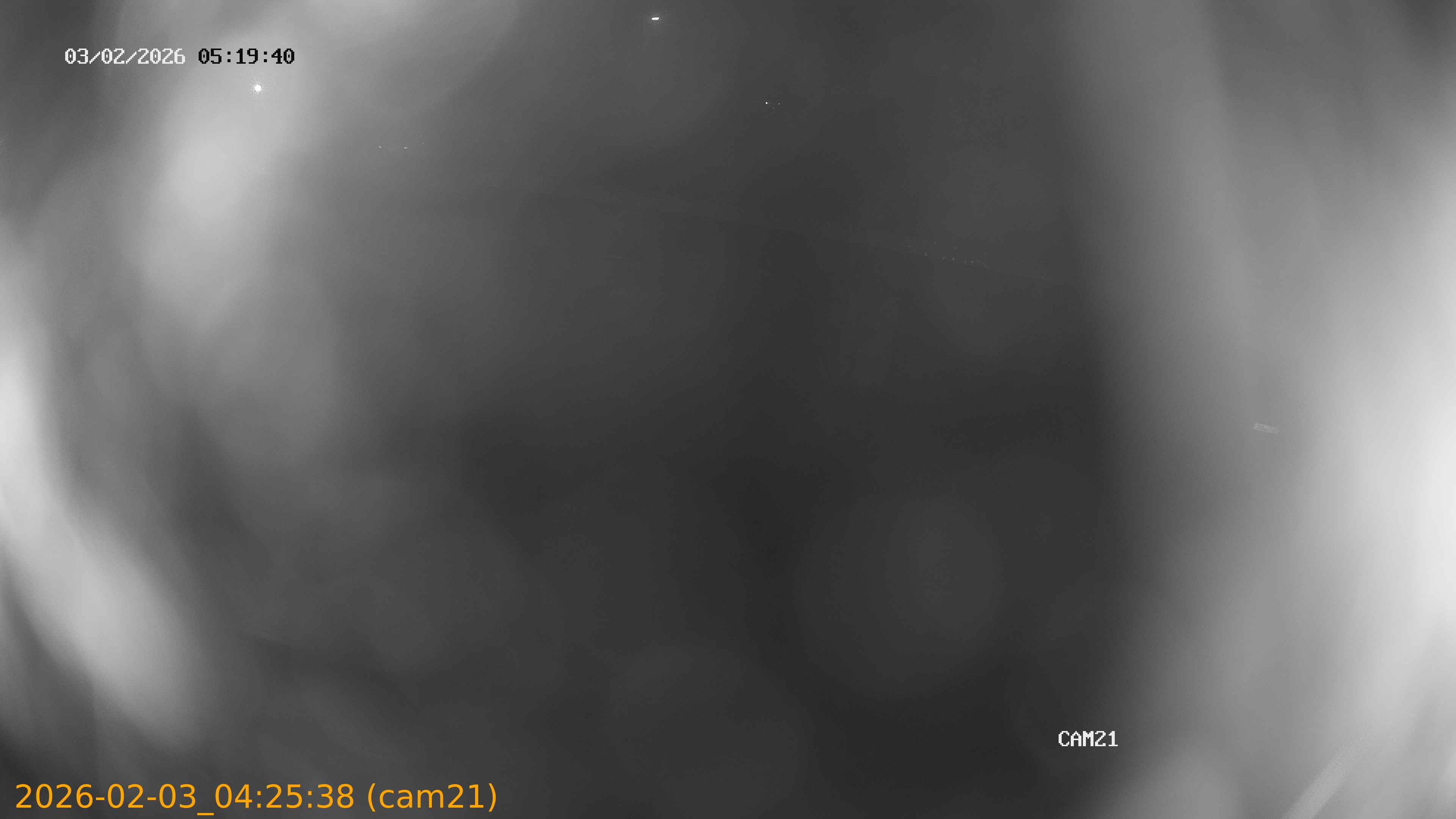 thumbnail_20260203042538