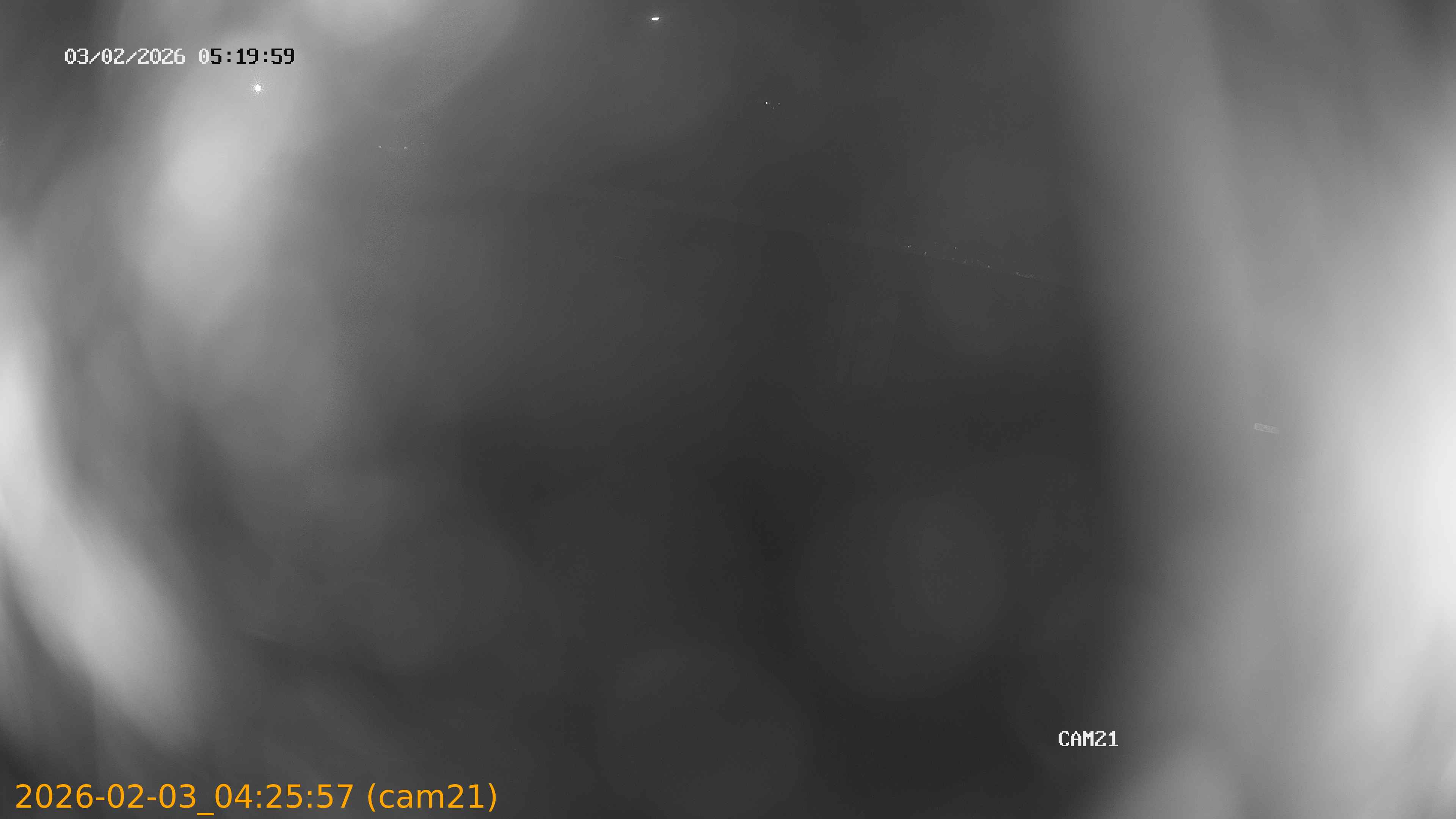 thumbnail_20260203042557