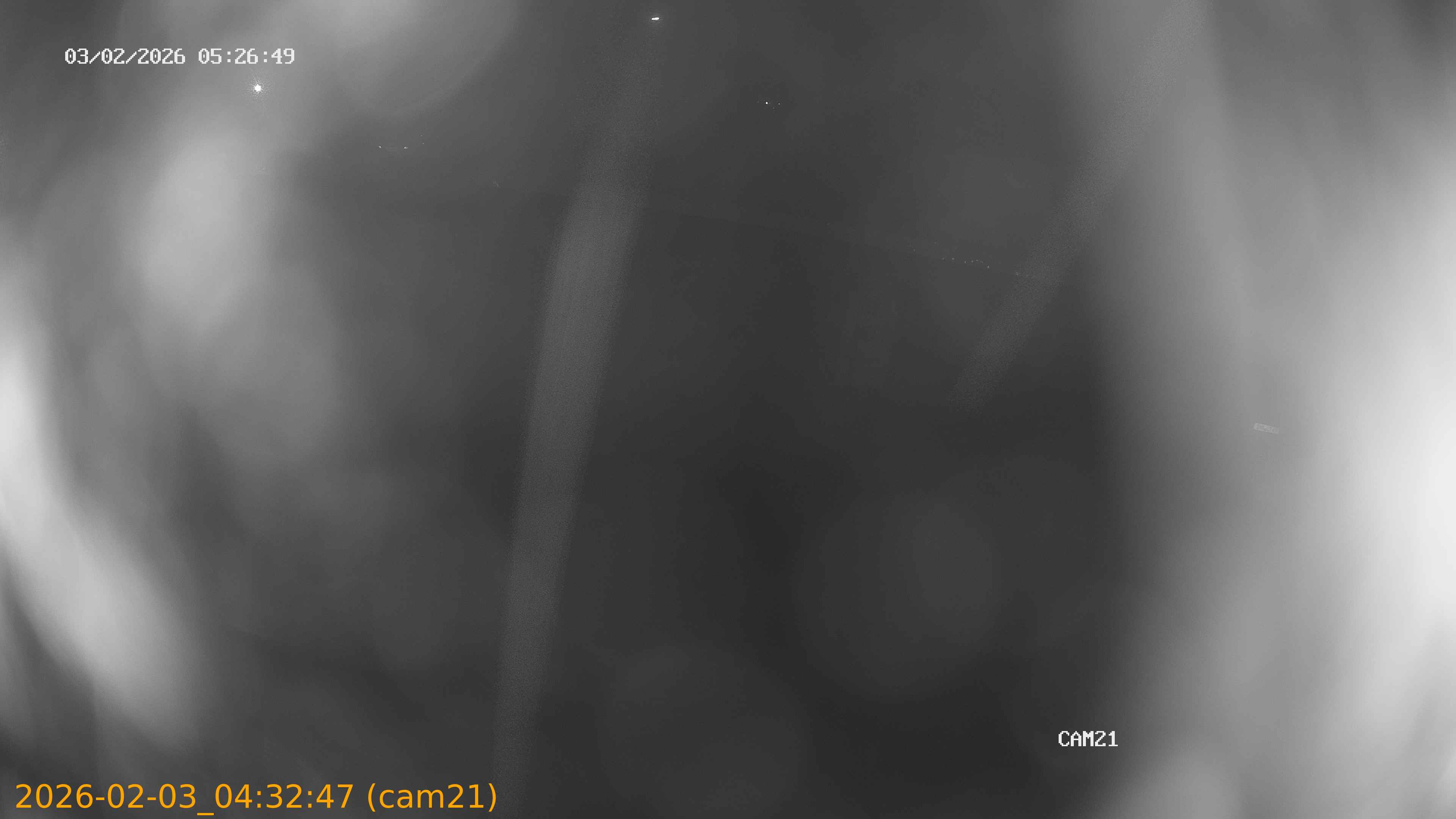 thumbnail_20260203043247