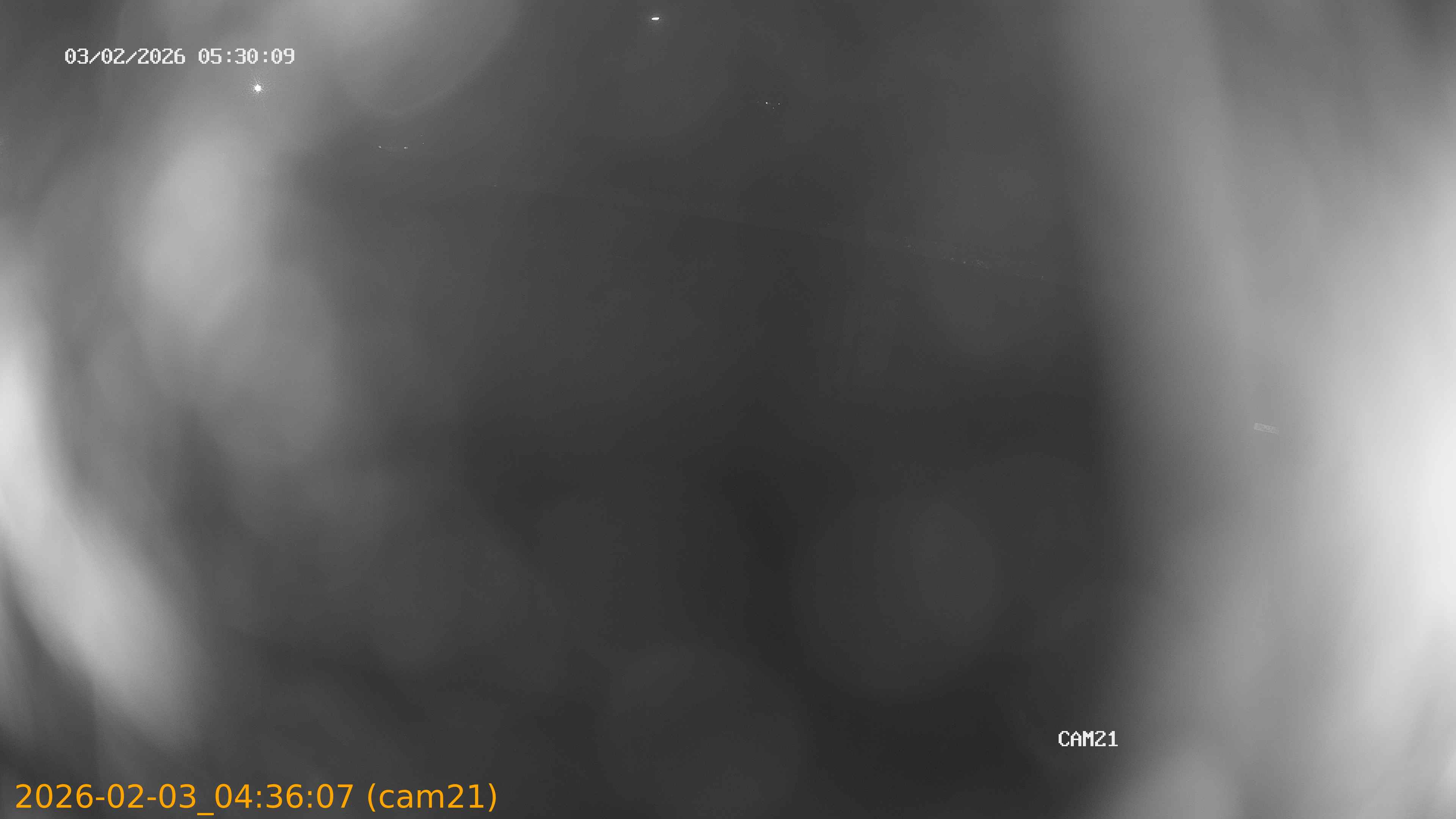 thumbnail_20260203043607