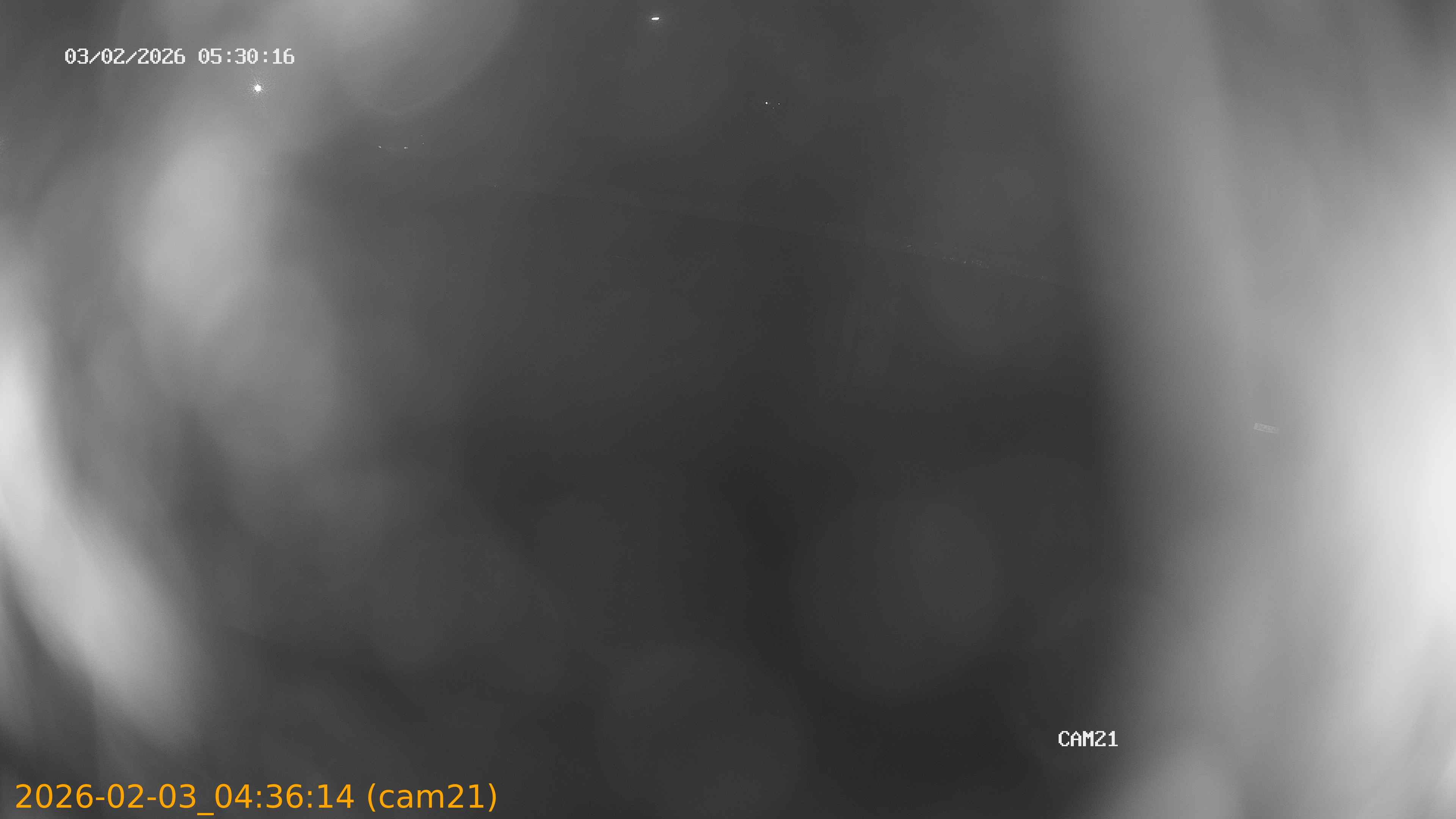 thumbnail_20260203043614