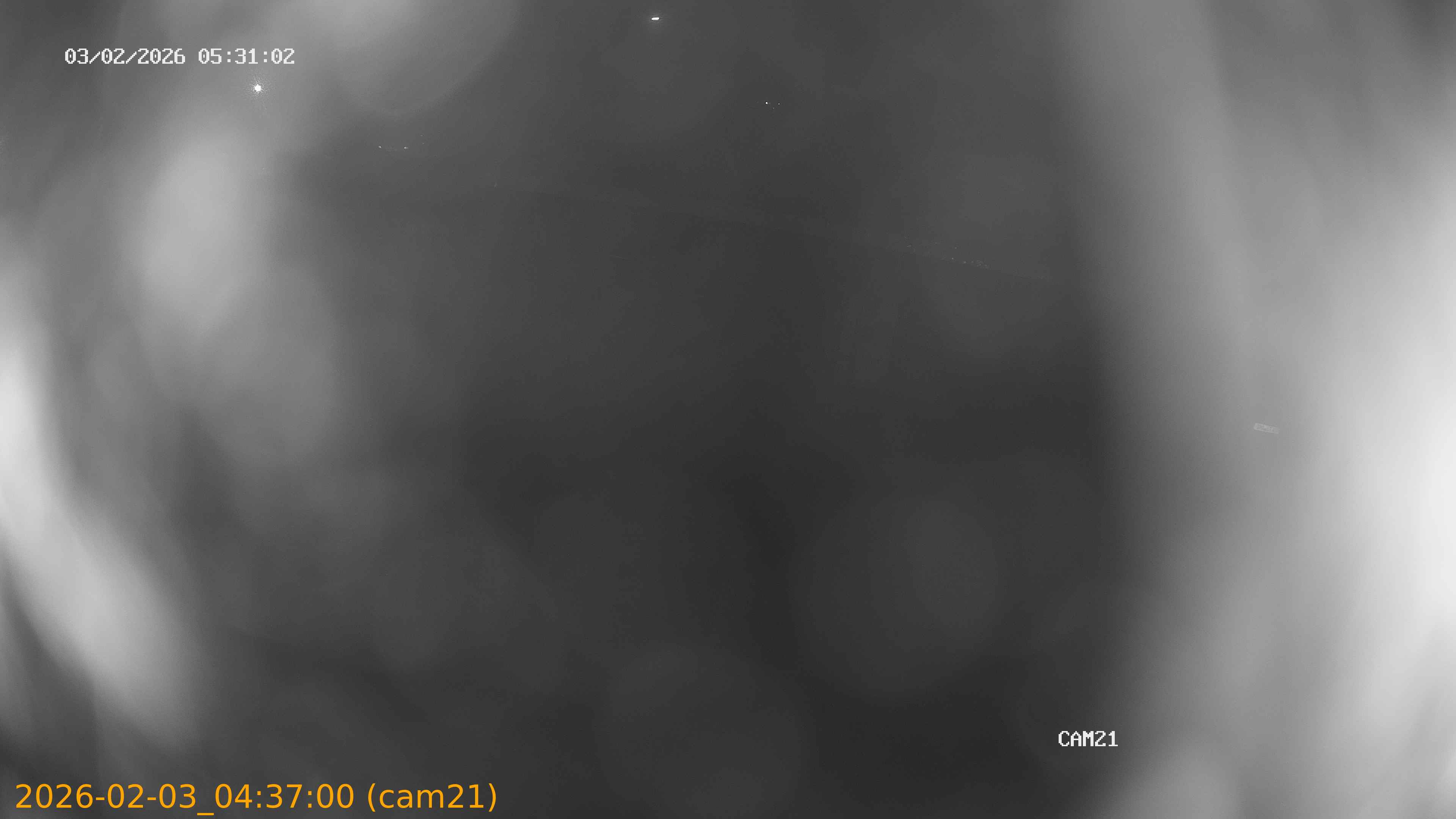 thumbnail_20260203043700