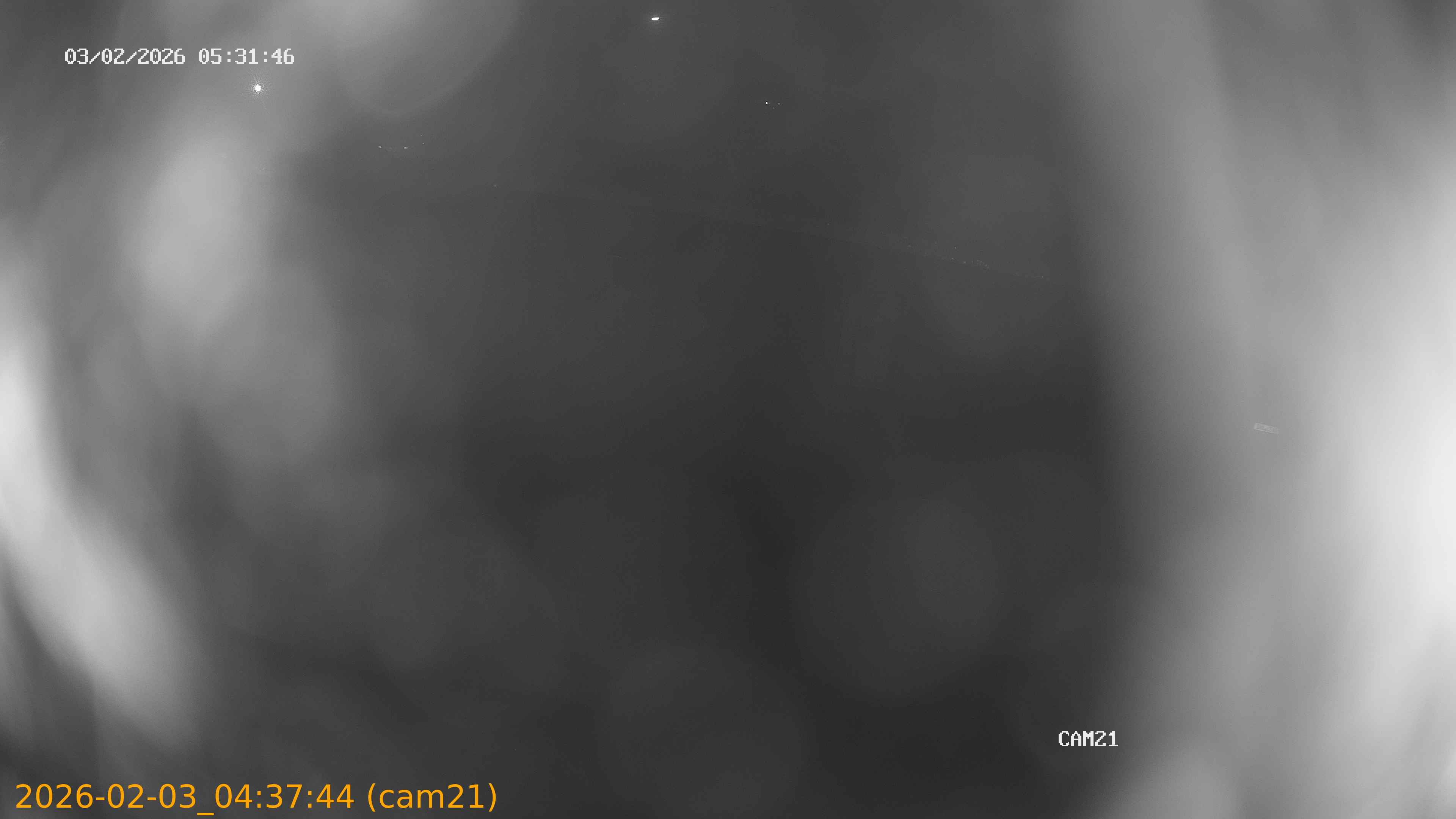 thumbnail_20260203043744