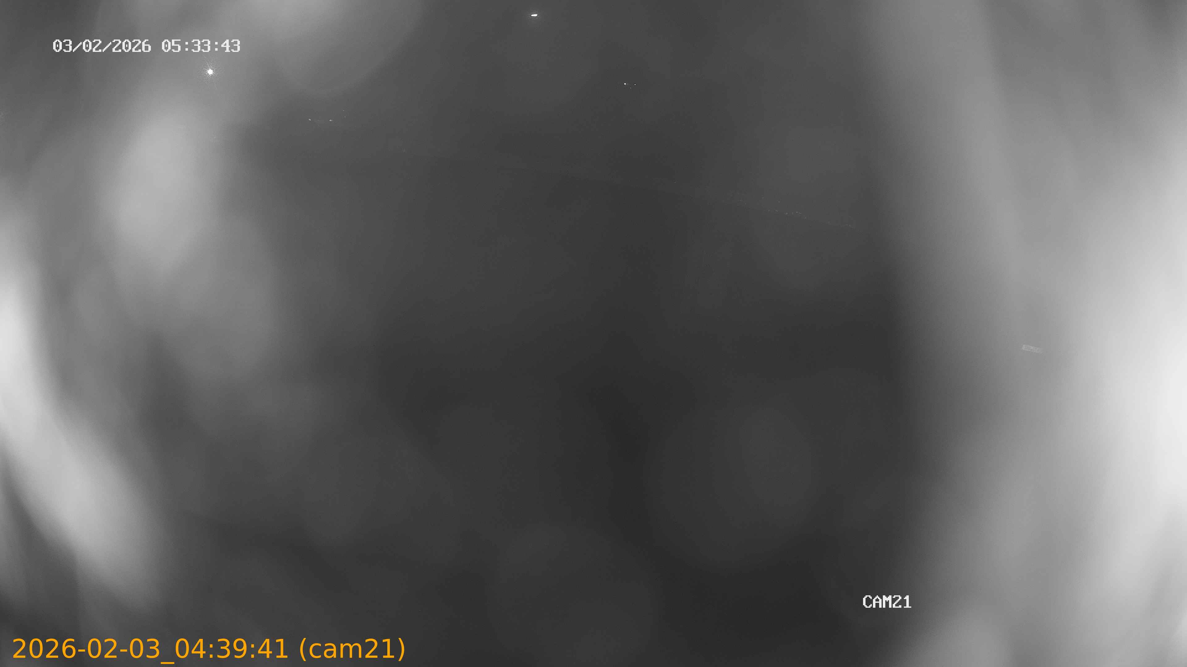 thumbnail_20260203043941