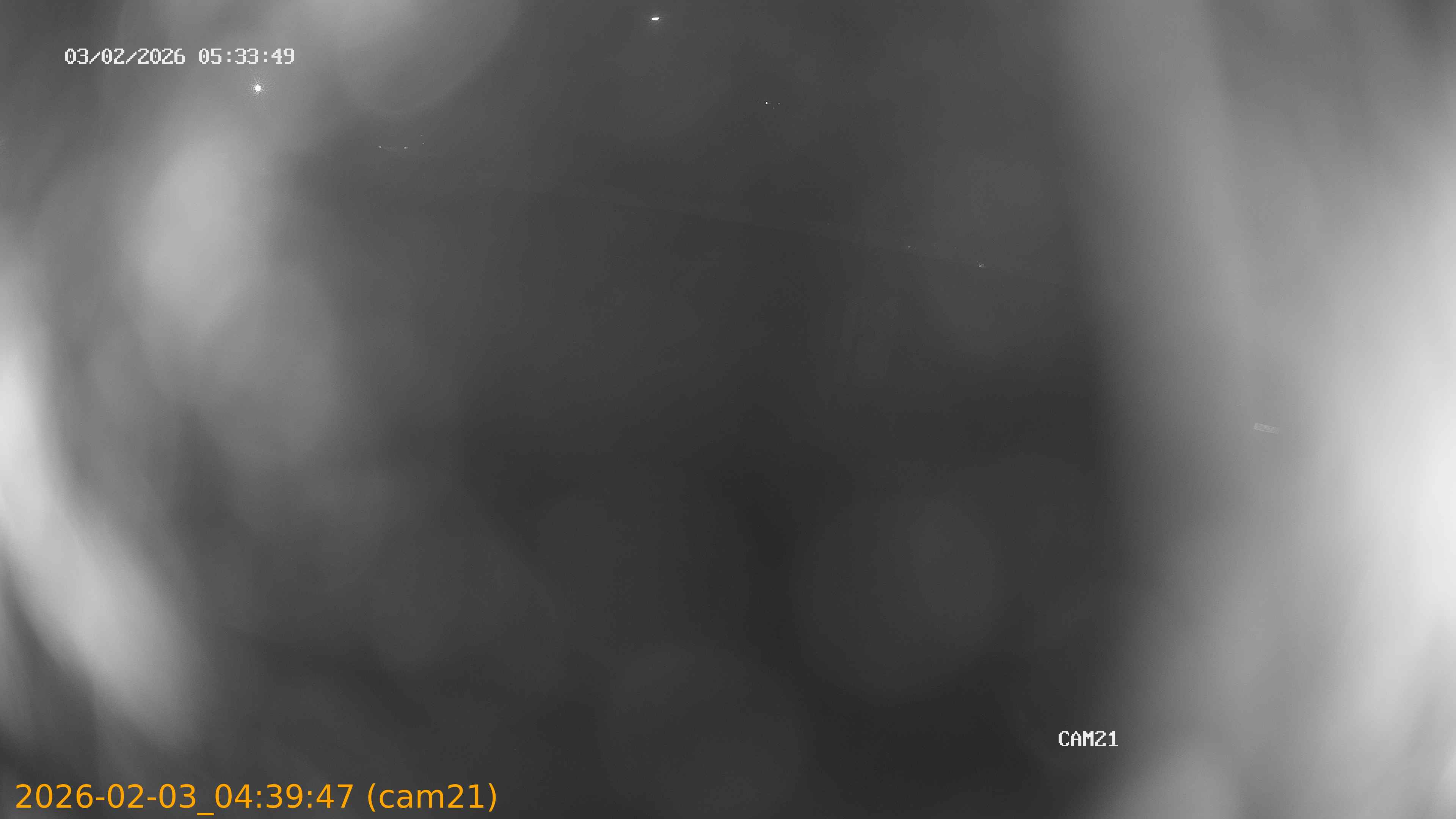 thumbnail_20260203043947