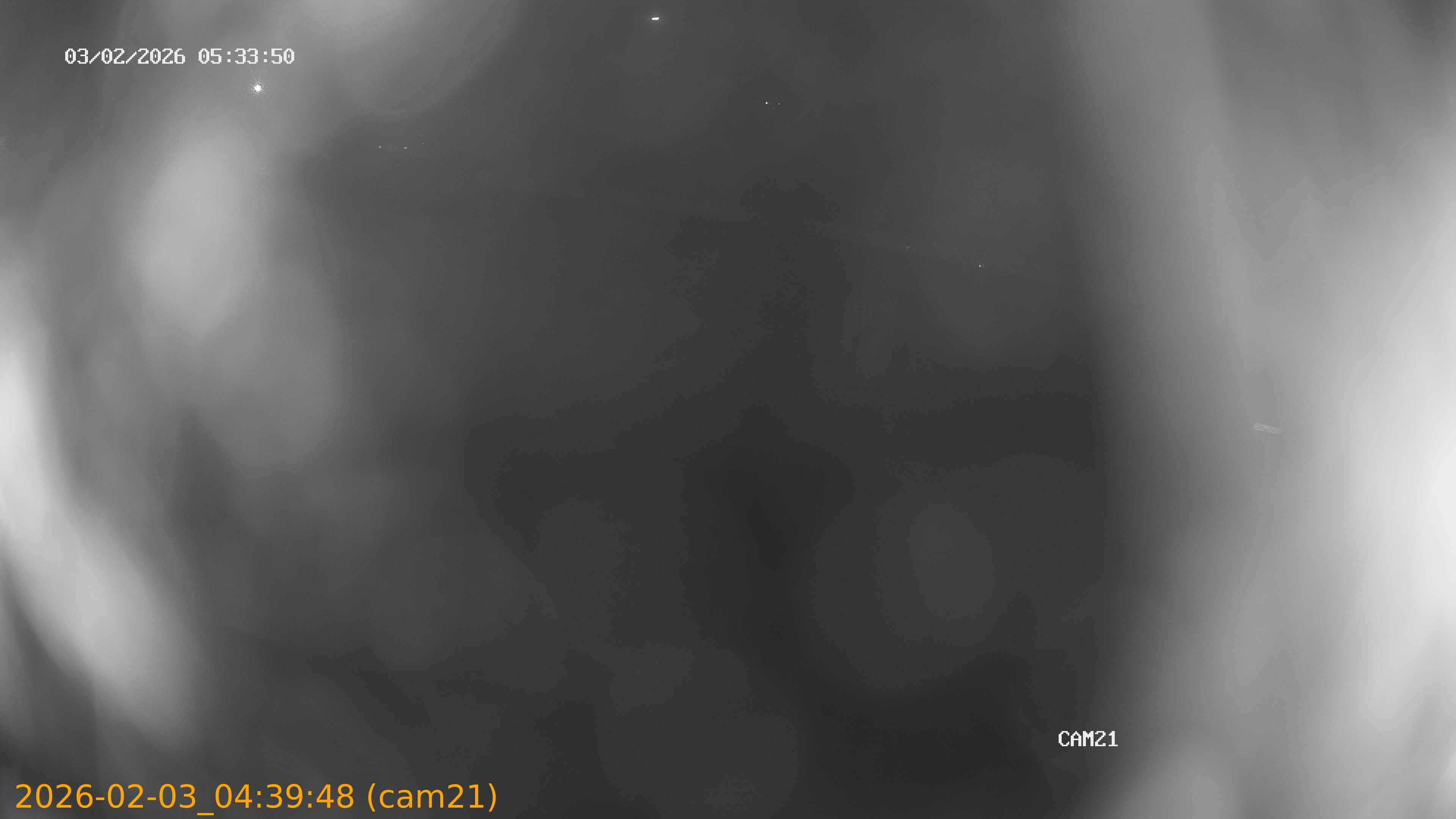 thumbnail_20260203043948