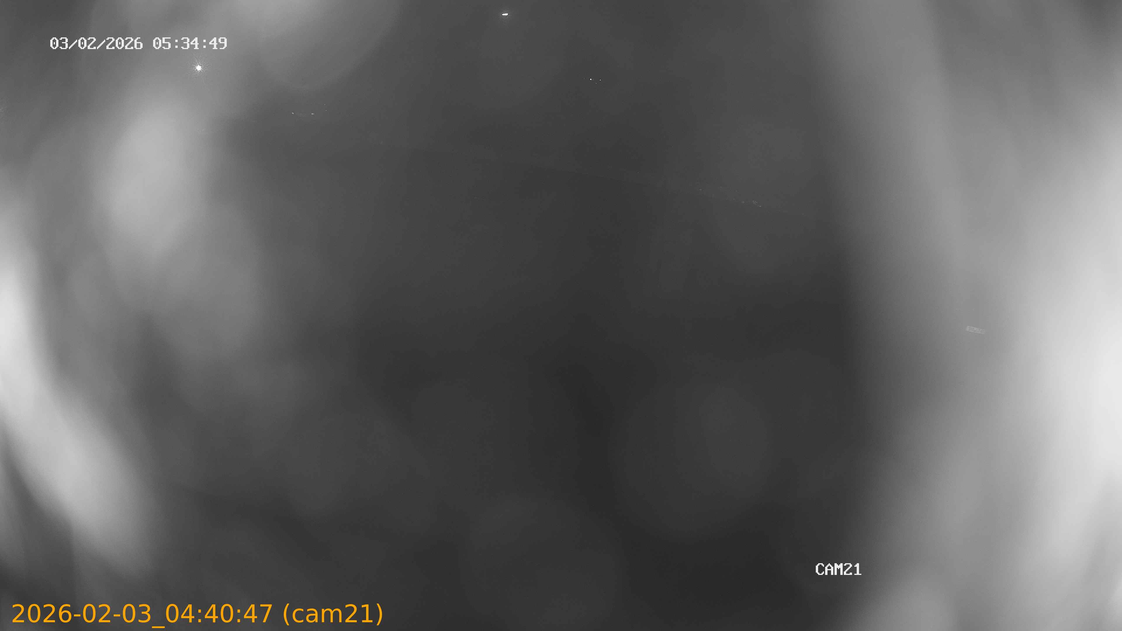 thumbnail_20260203044047