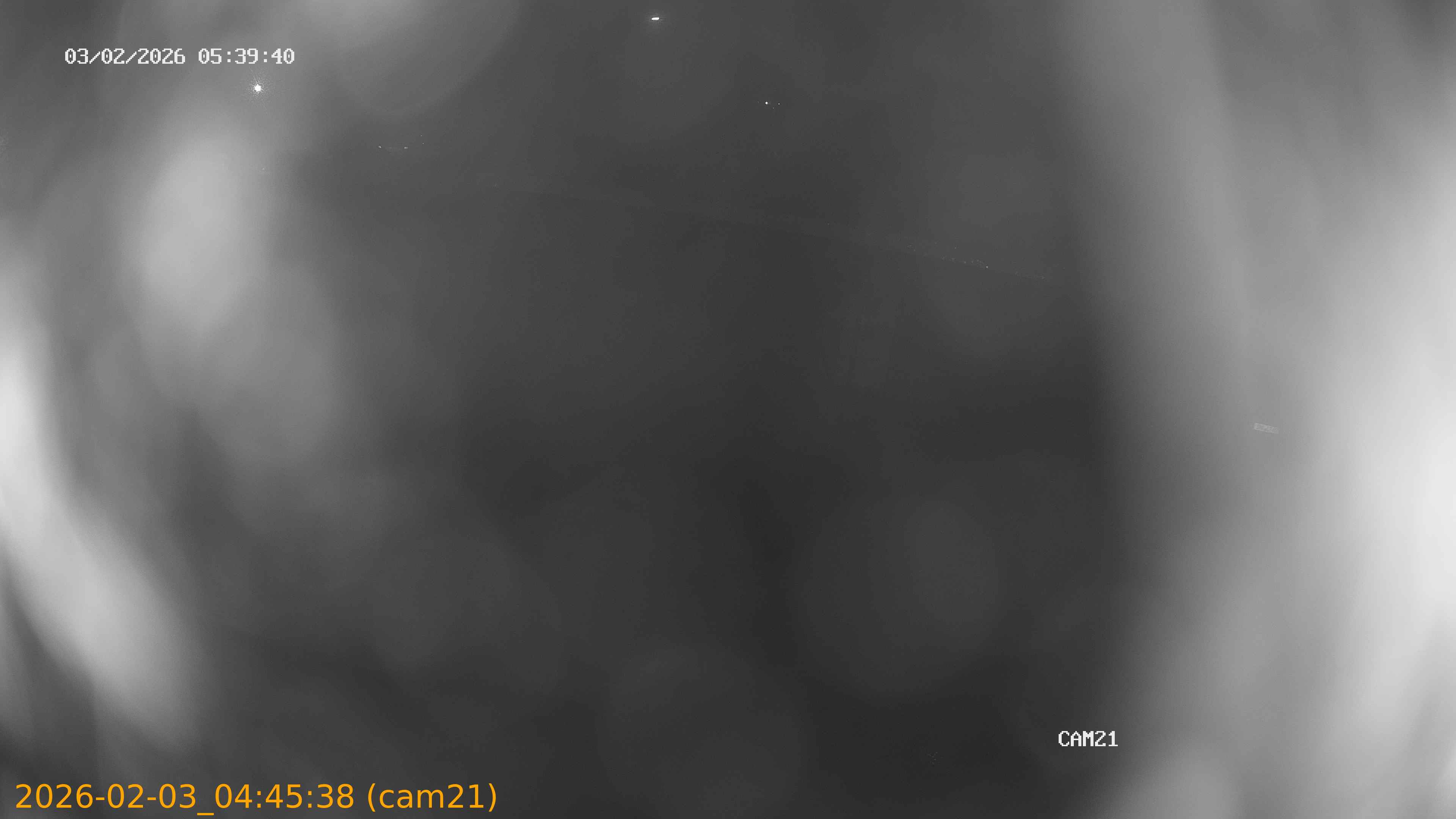 thumbnail_20260203044538