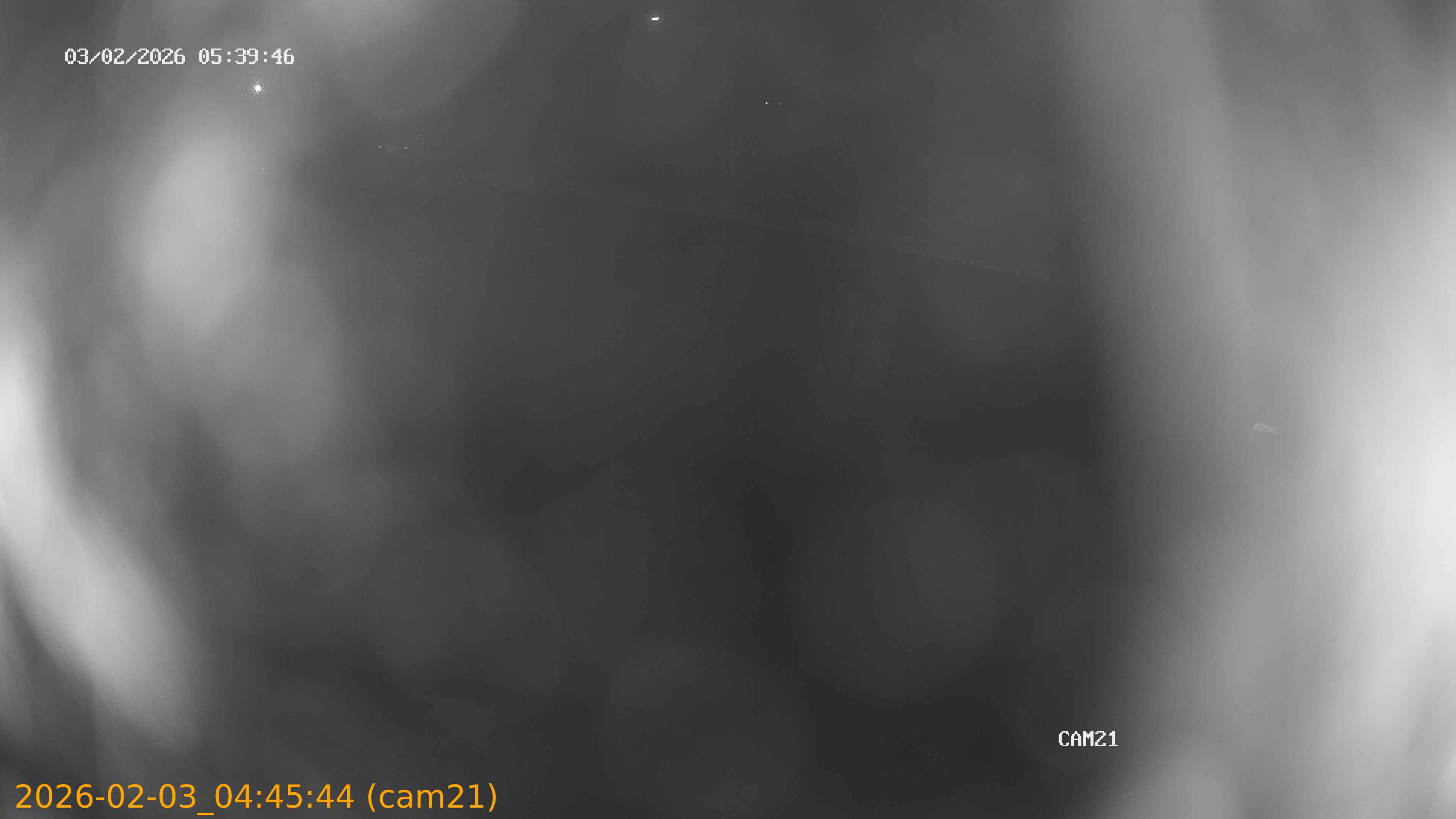 thumbnail_20260203044544