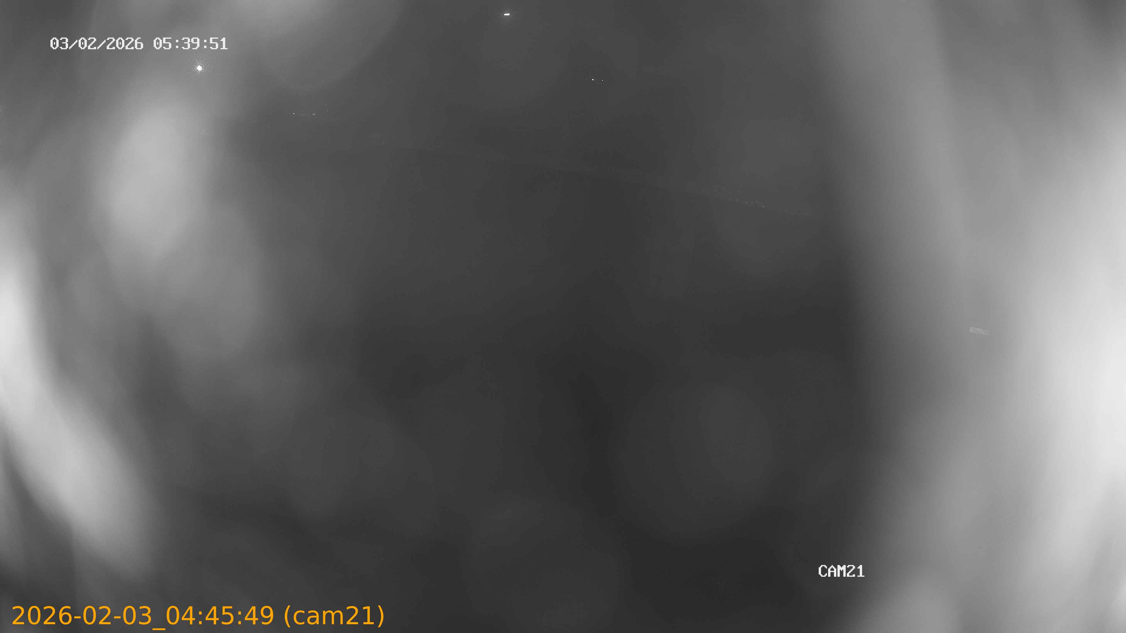 thumbnail_20260203044549