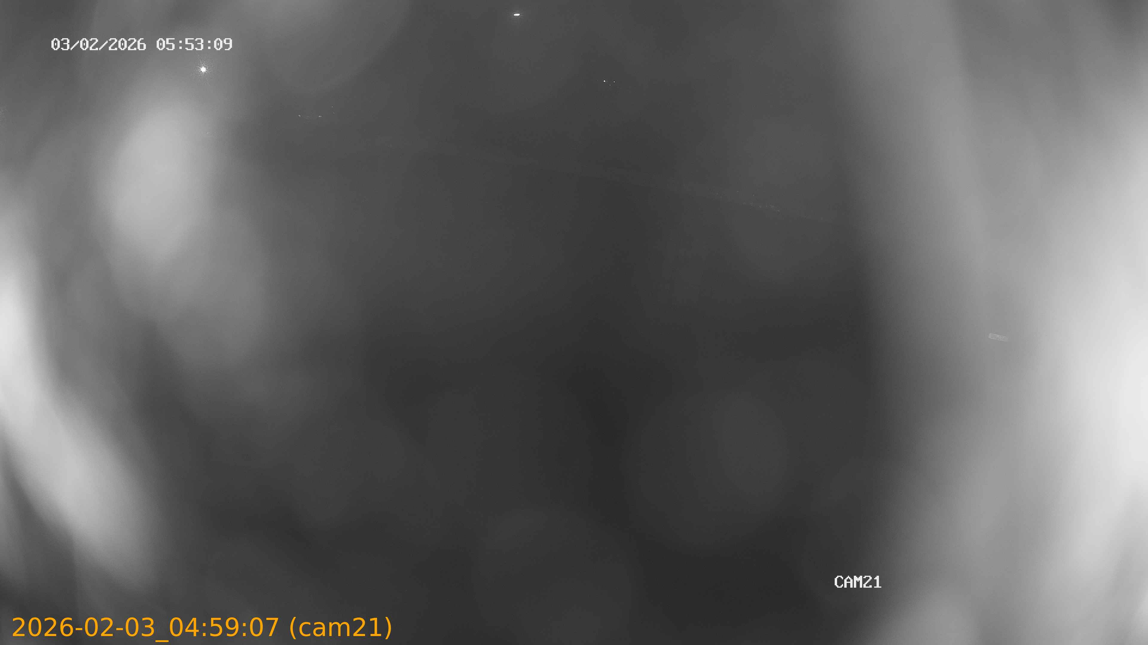 thumbnail_20260203045907