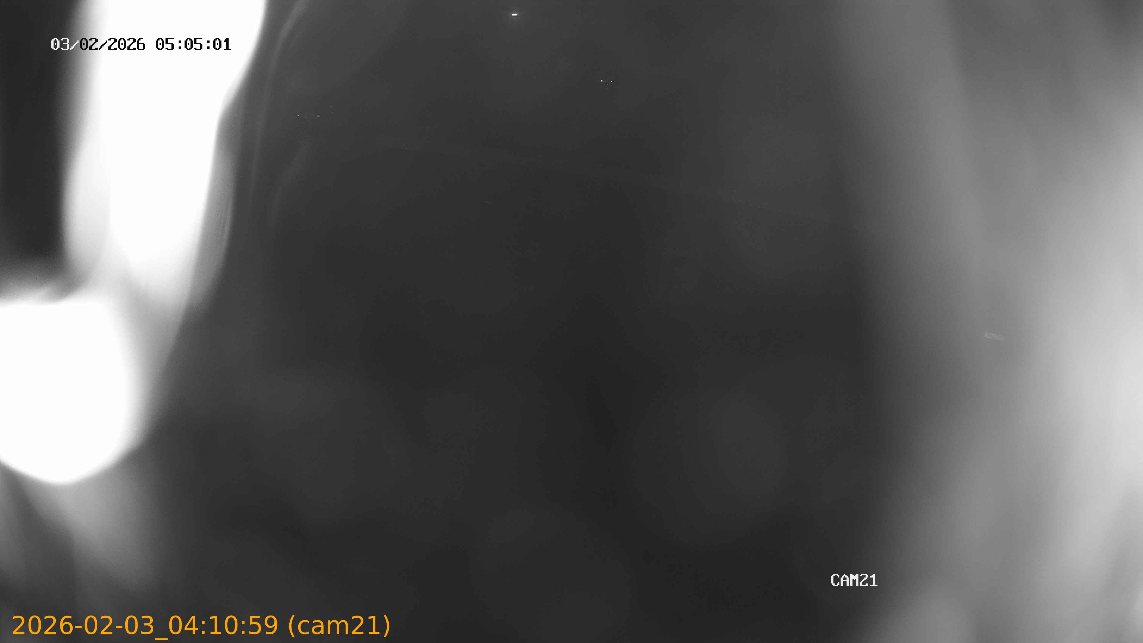 thumbnail_202602030410