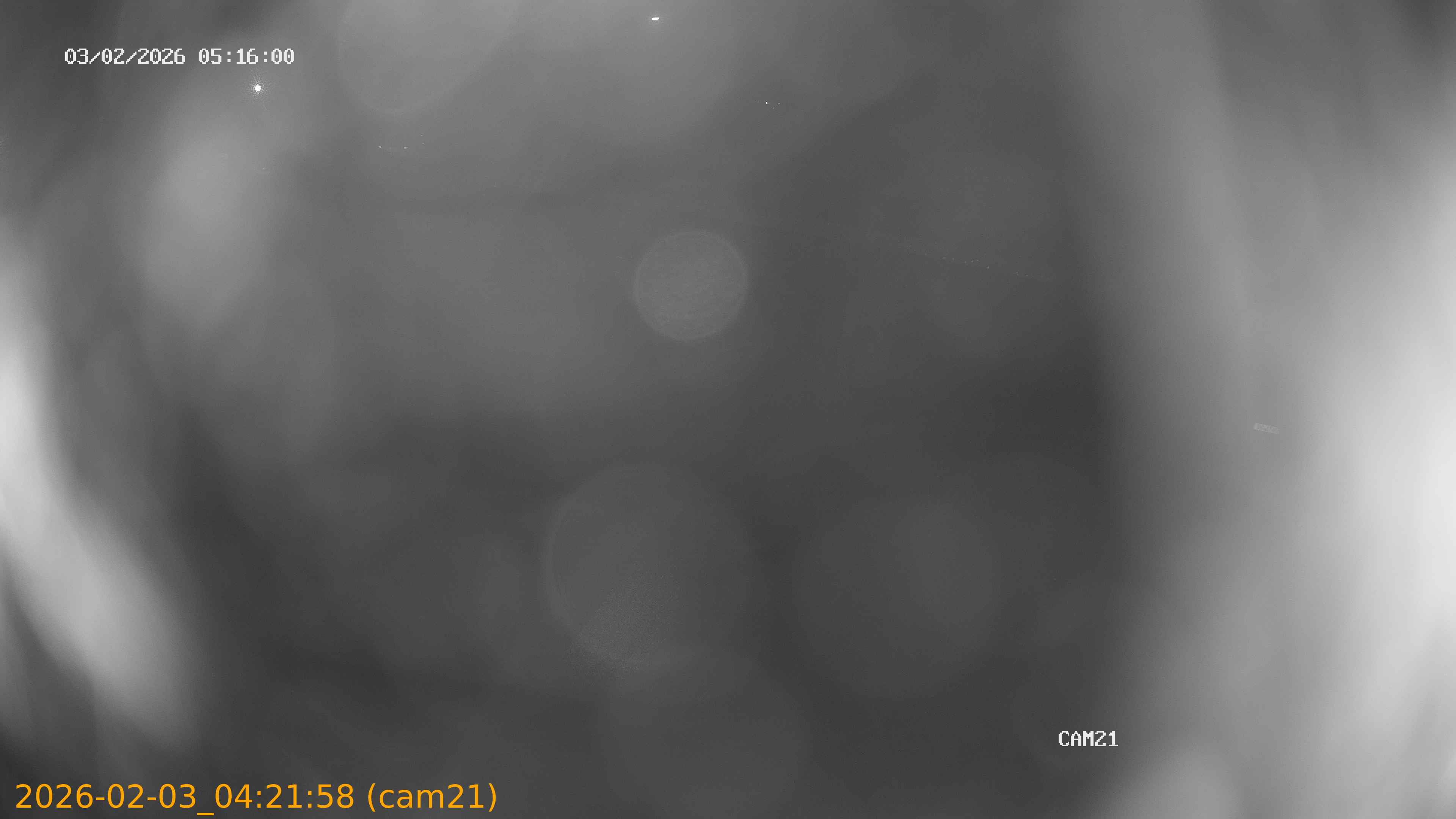 thumbnail_202602030421