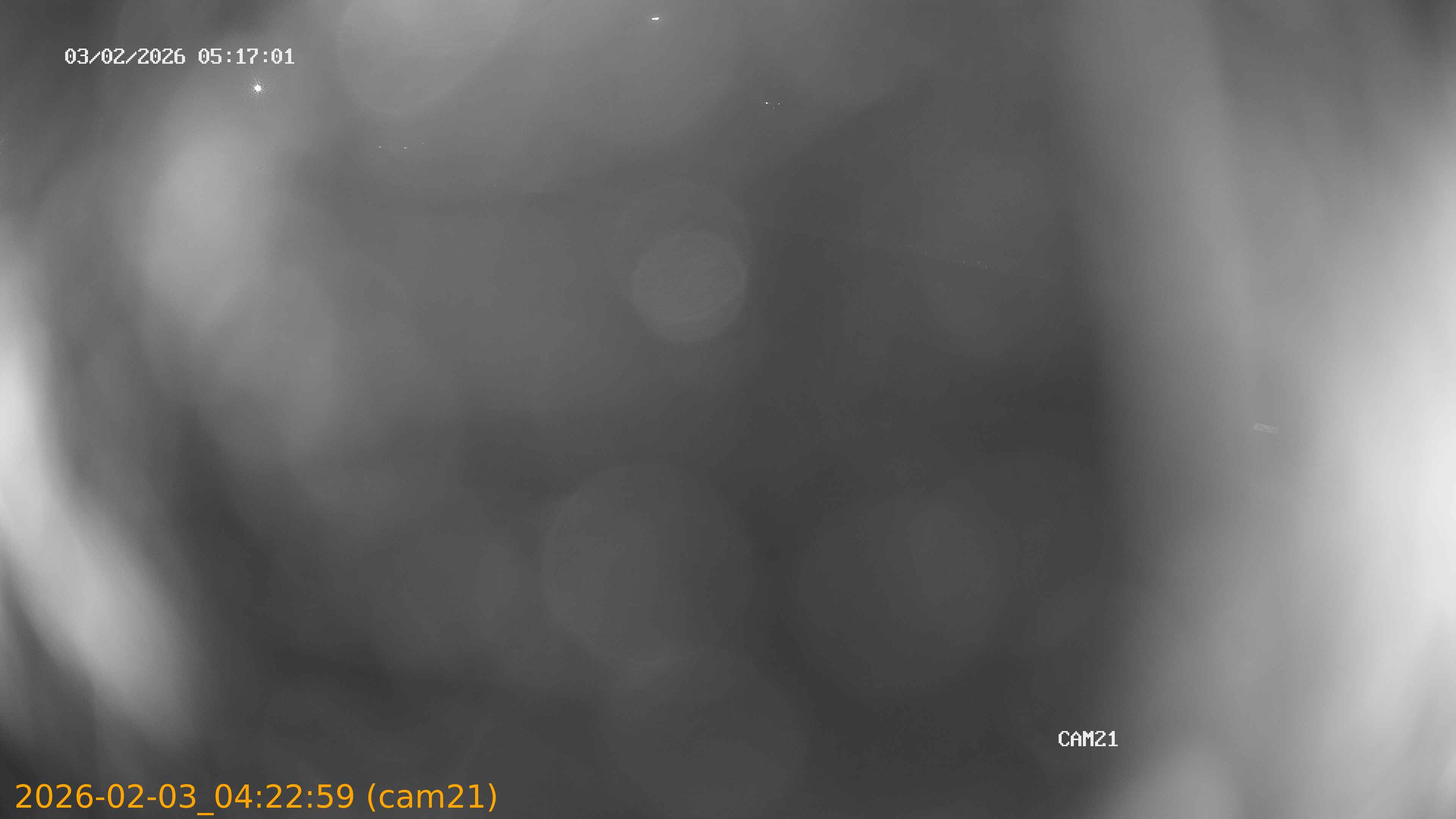 thumbnail_202602030422