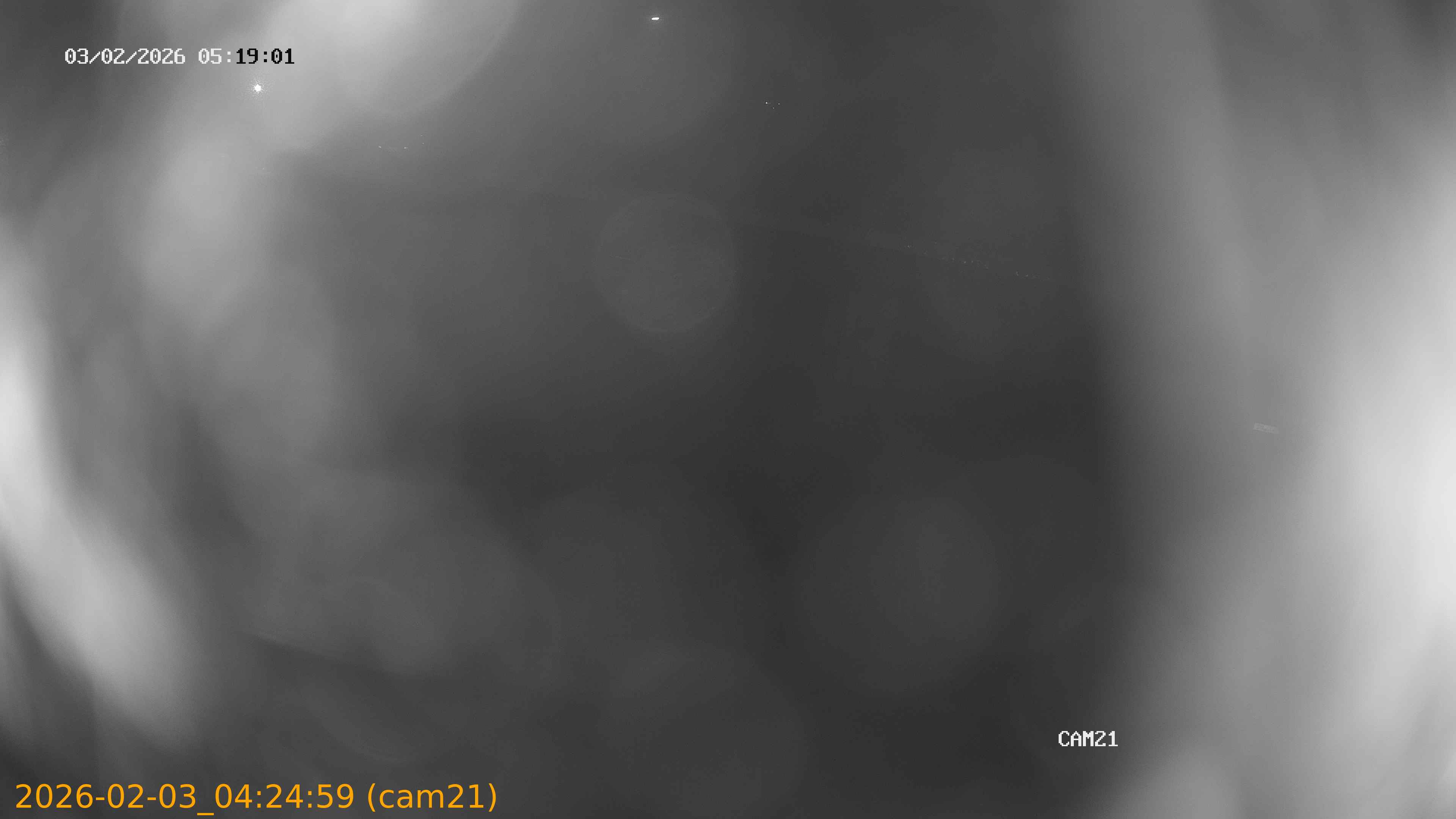 thumbnail_202602030424