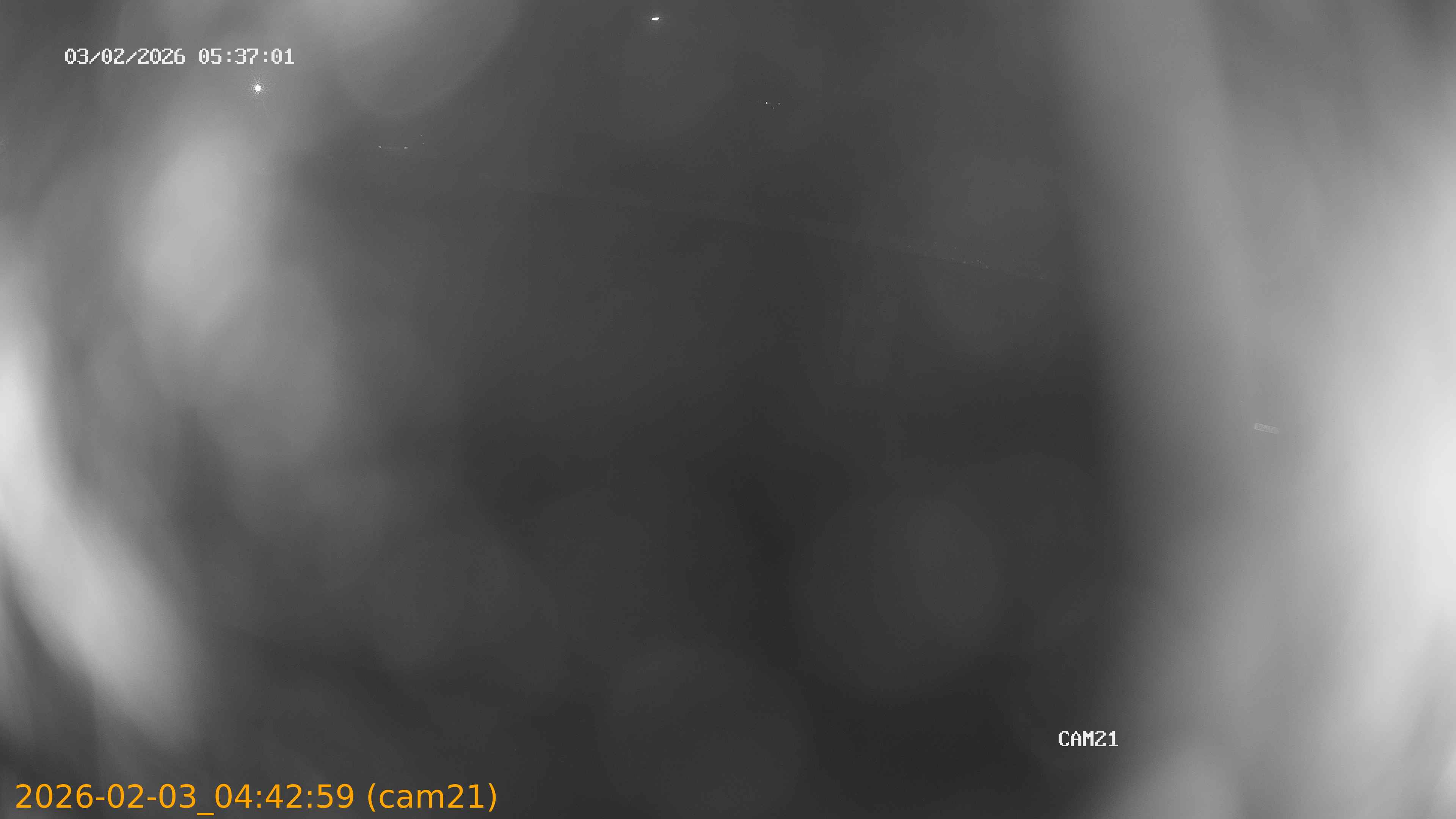 thumbnail_202602030442