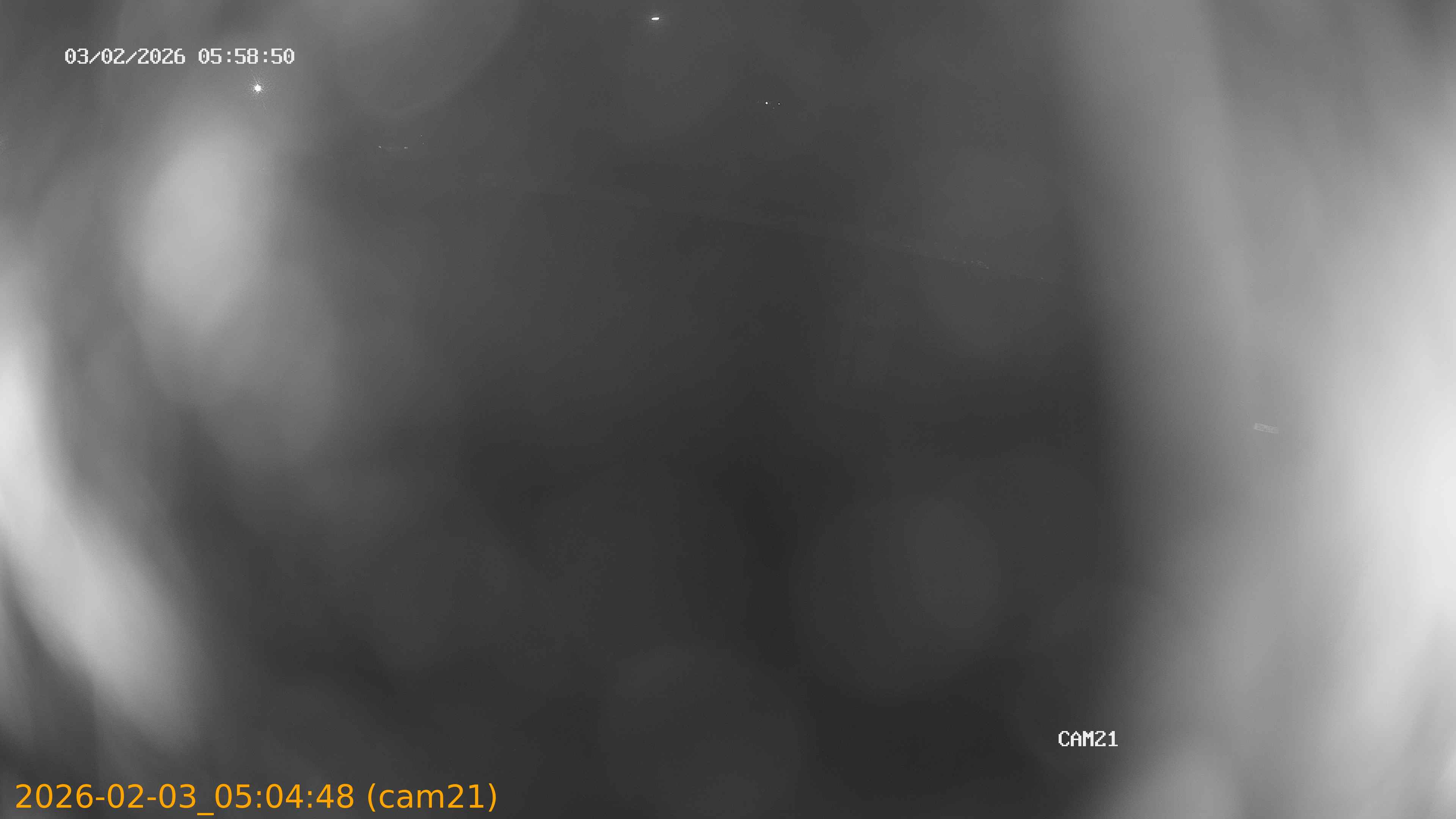 thumbnail_20260203050448