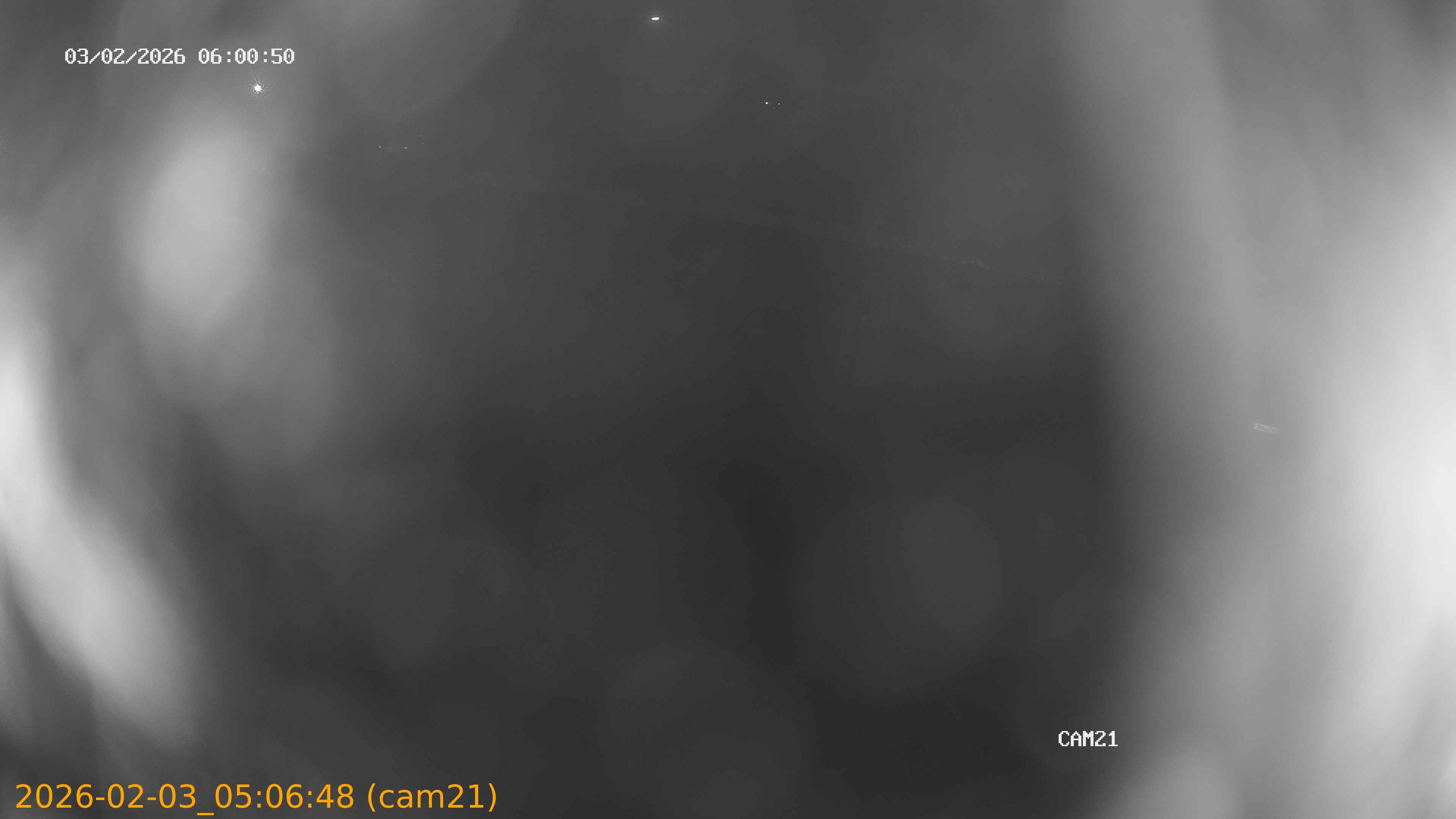 thumbnail_20260203050648