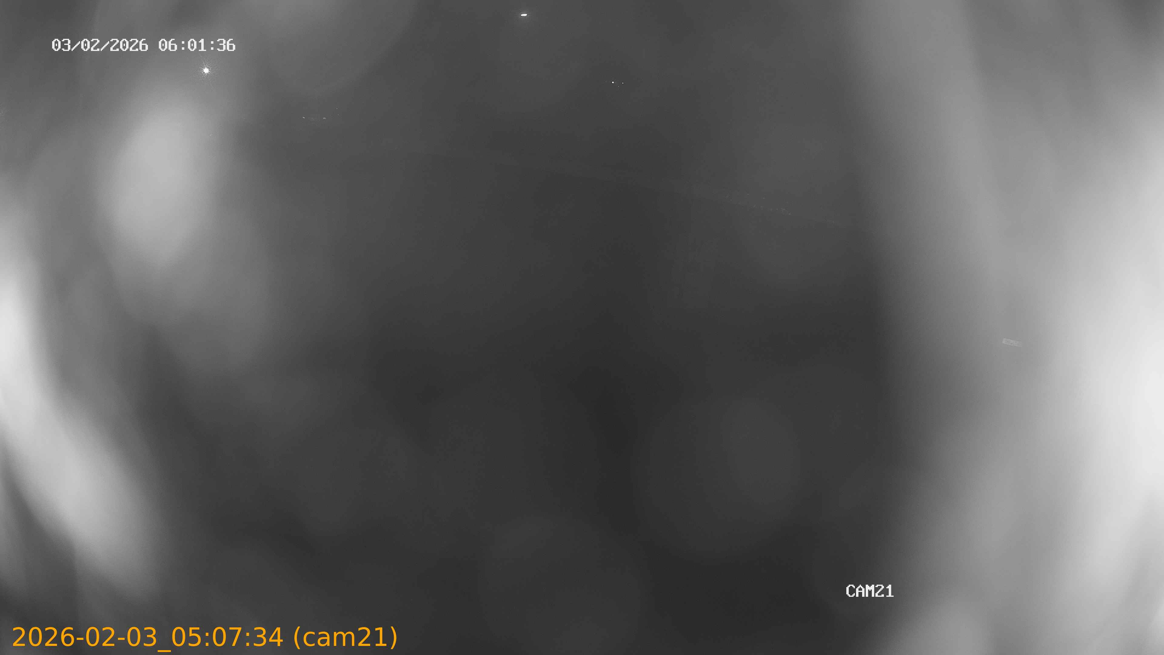 thumbnail_20260203050734