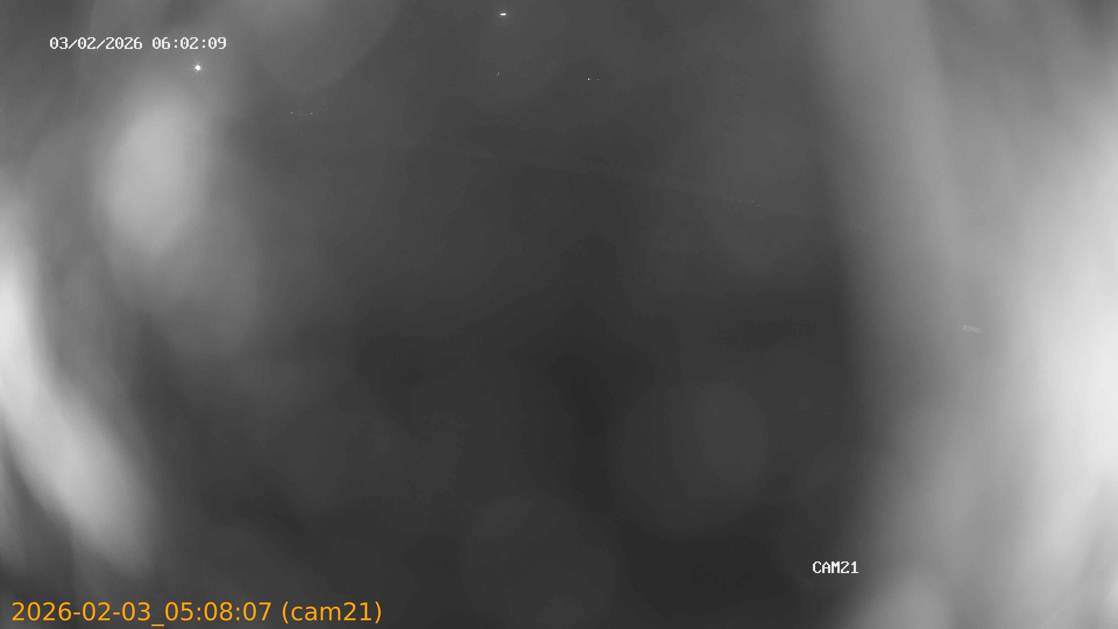 thumbnail_20260203050807