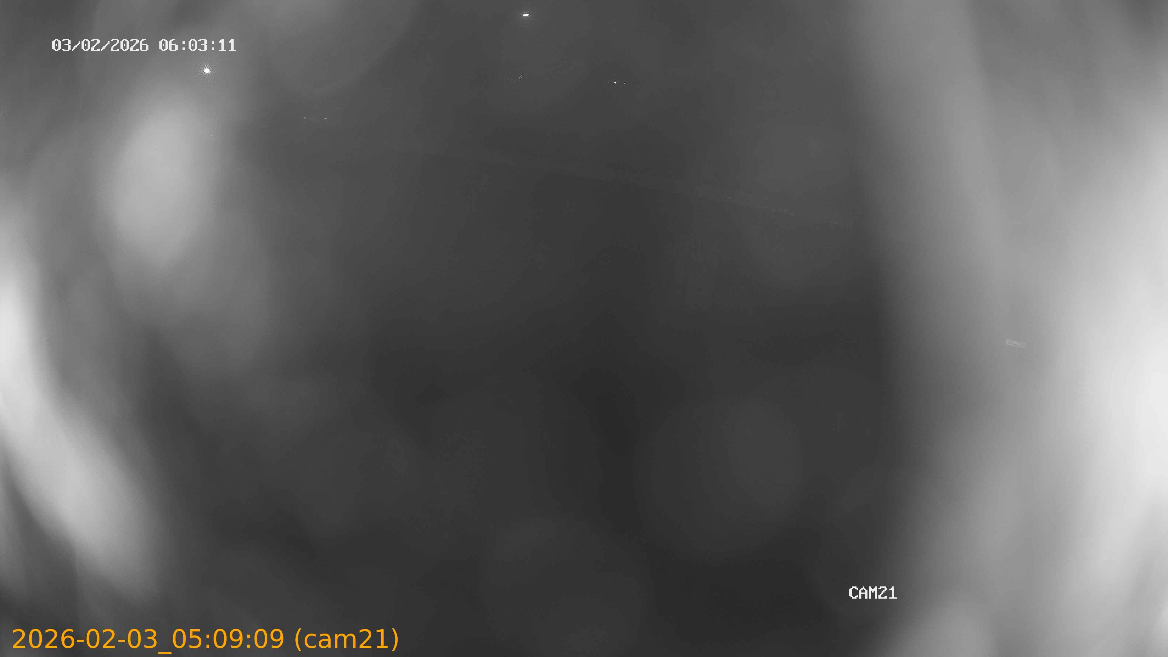 thumbnail_20260203050909