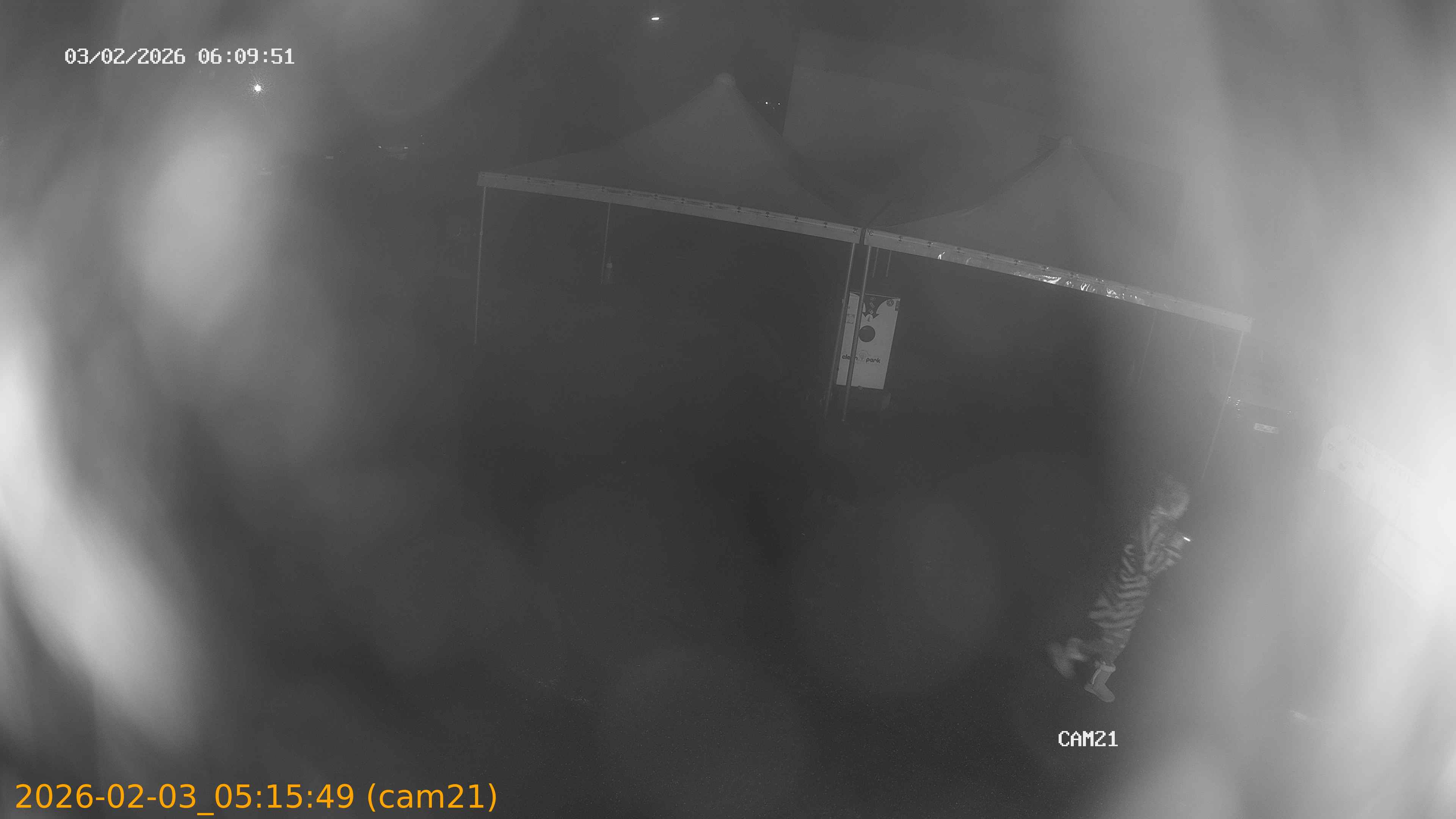 thumbnail_20260203051549