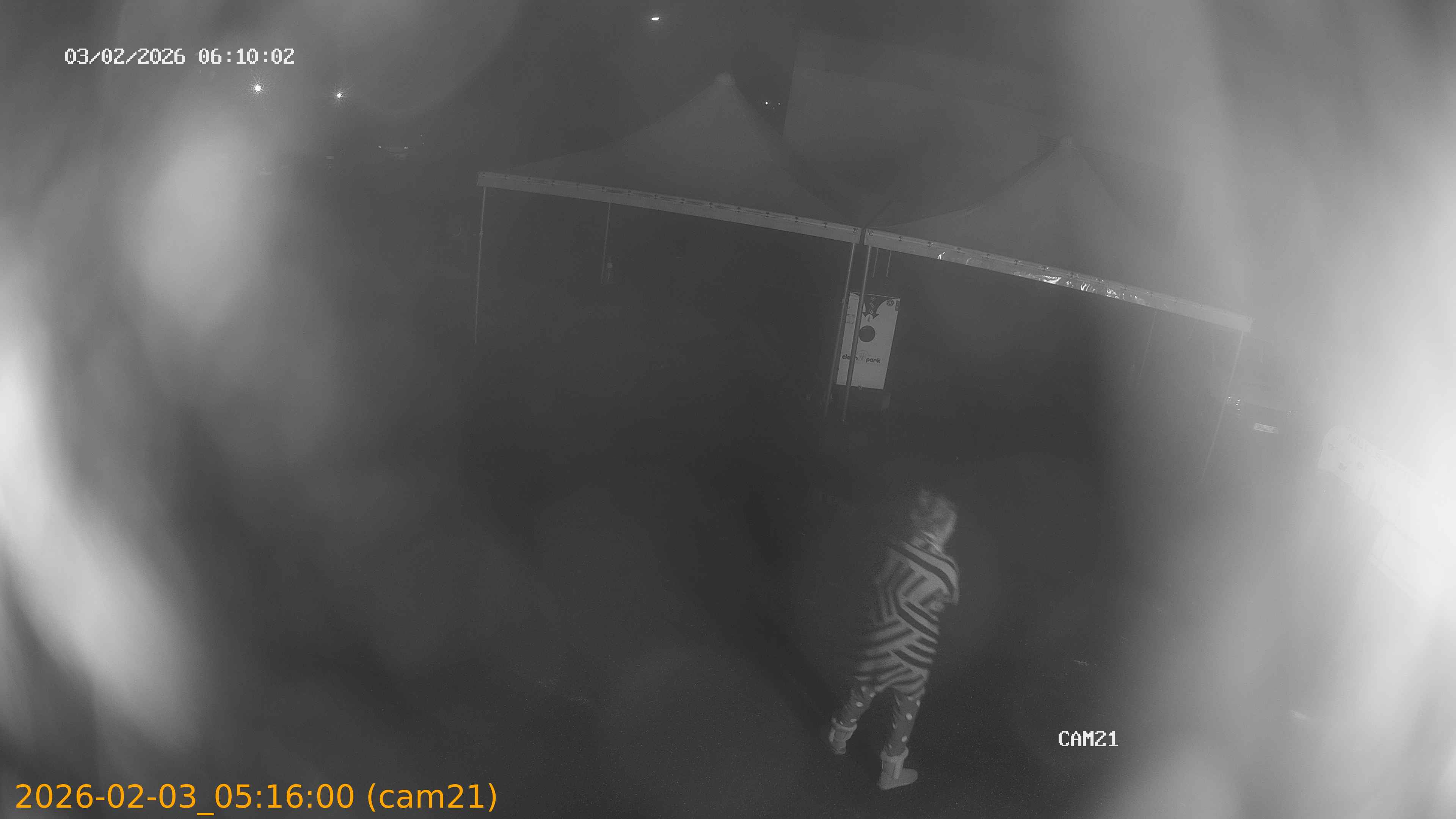 thumbnail_20260203051600