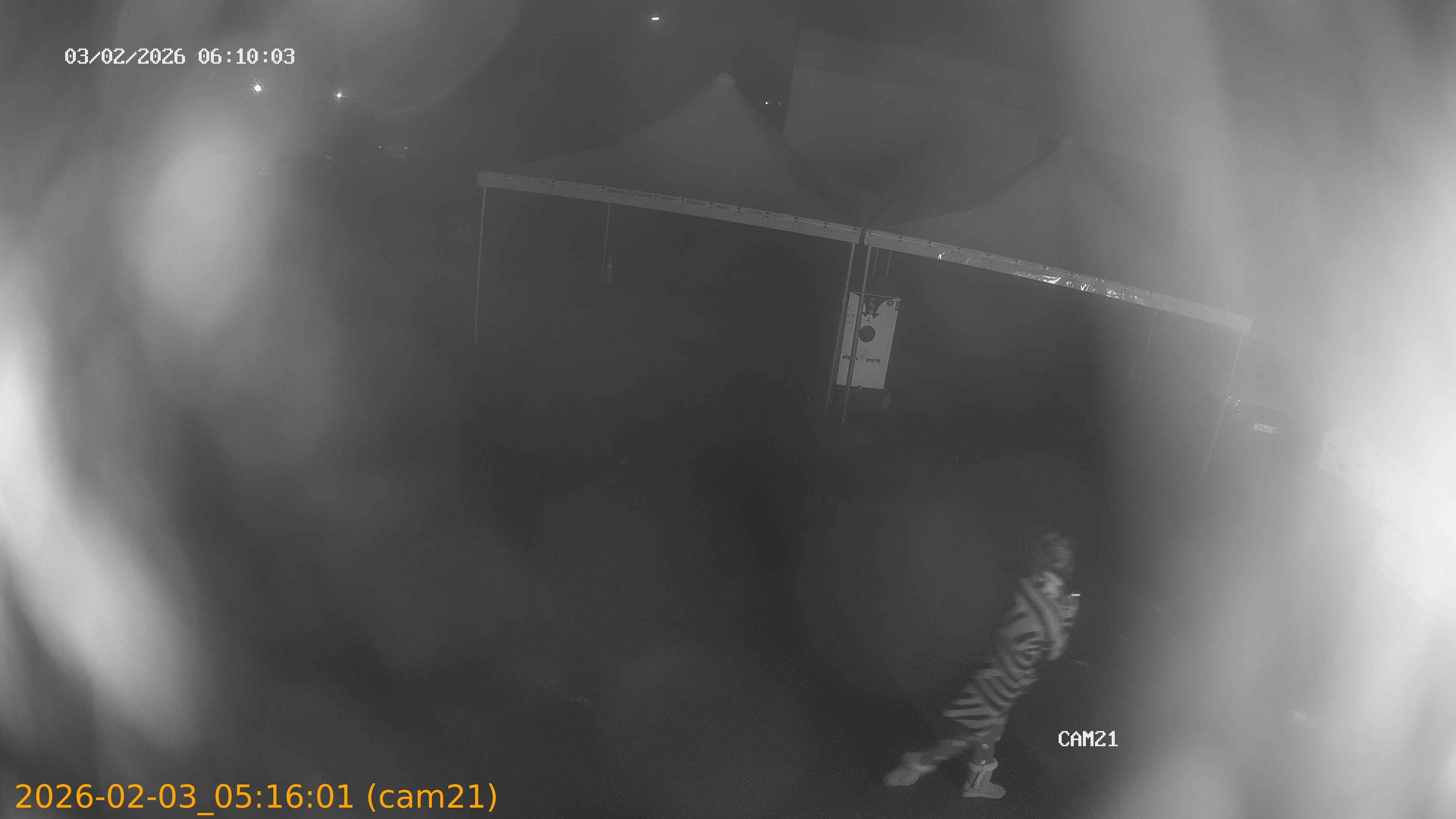 thumbnail_20260203051601