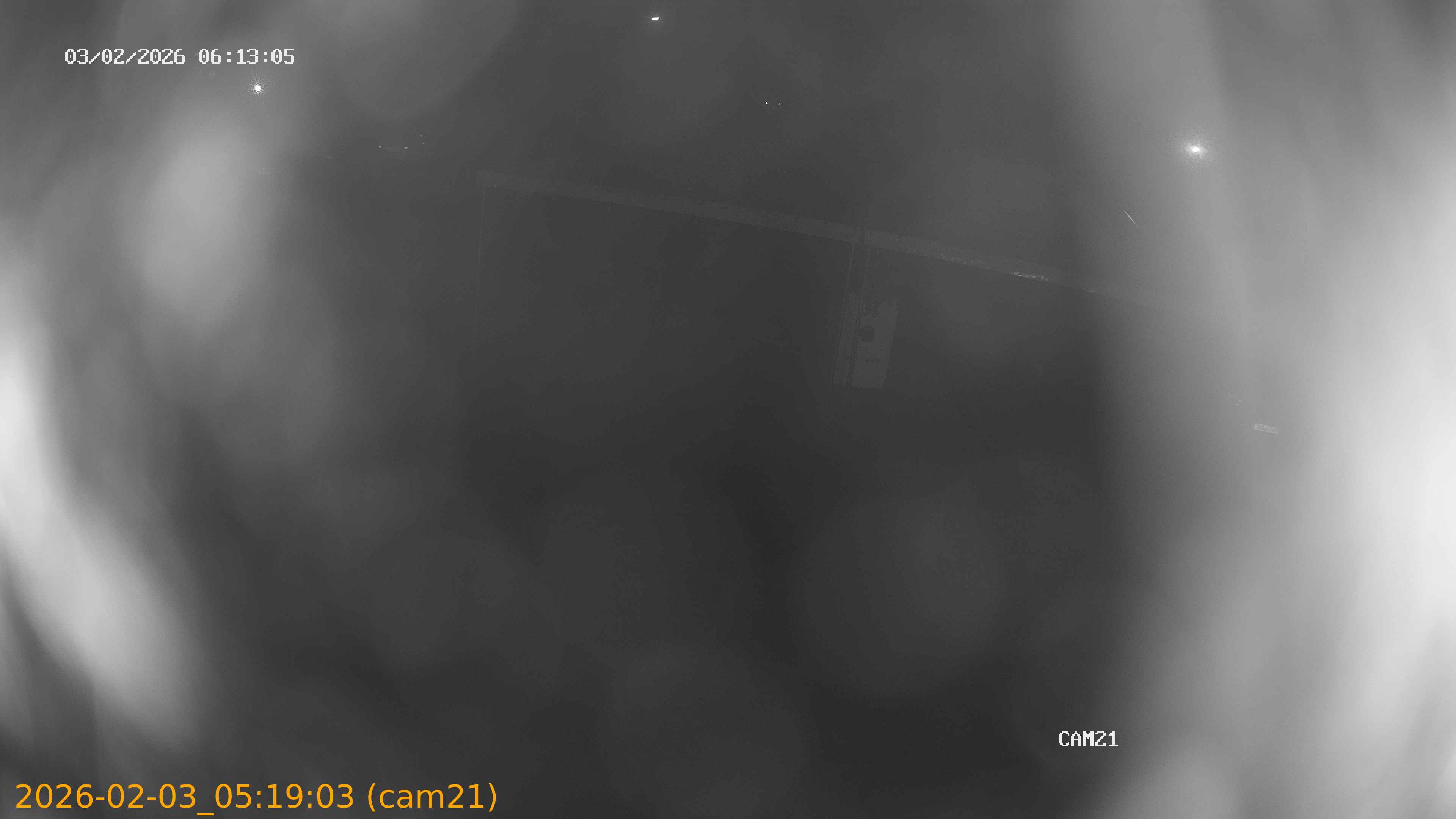 thumbnail_20260203051903