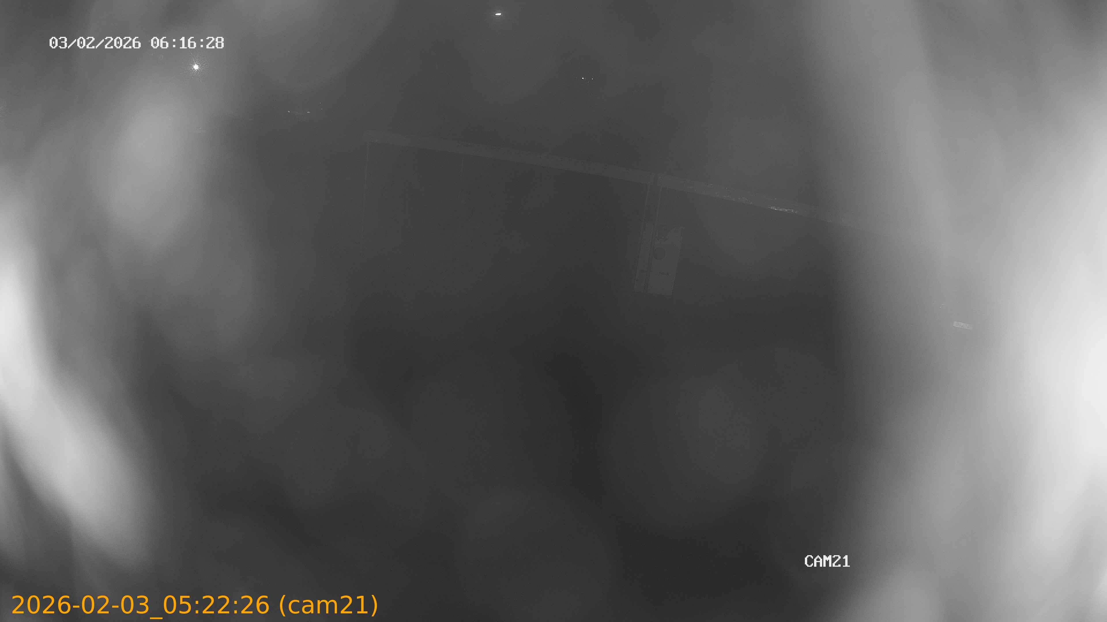 thumbnail_20260203052226