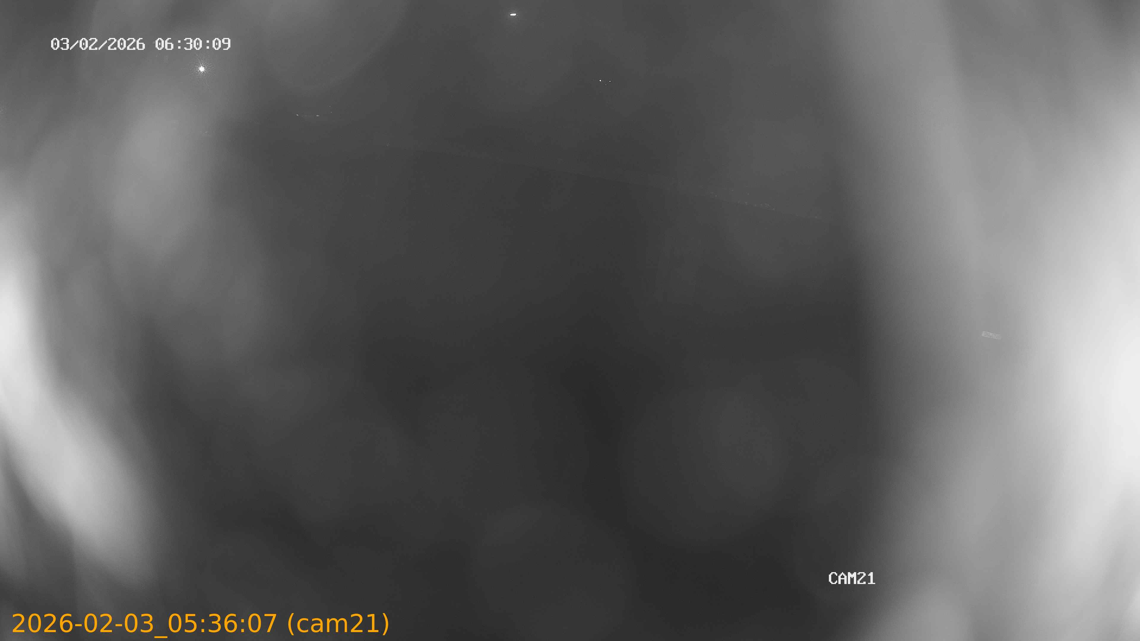 thumbnail_20260203053607