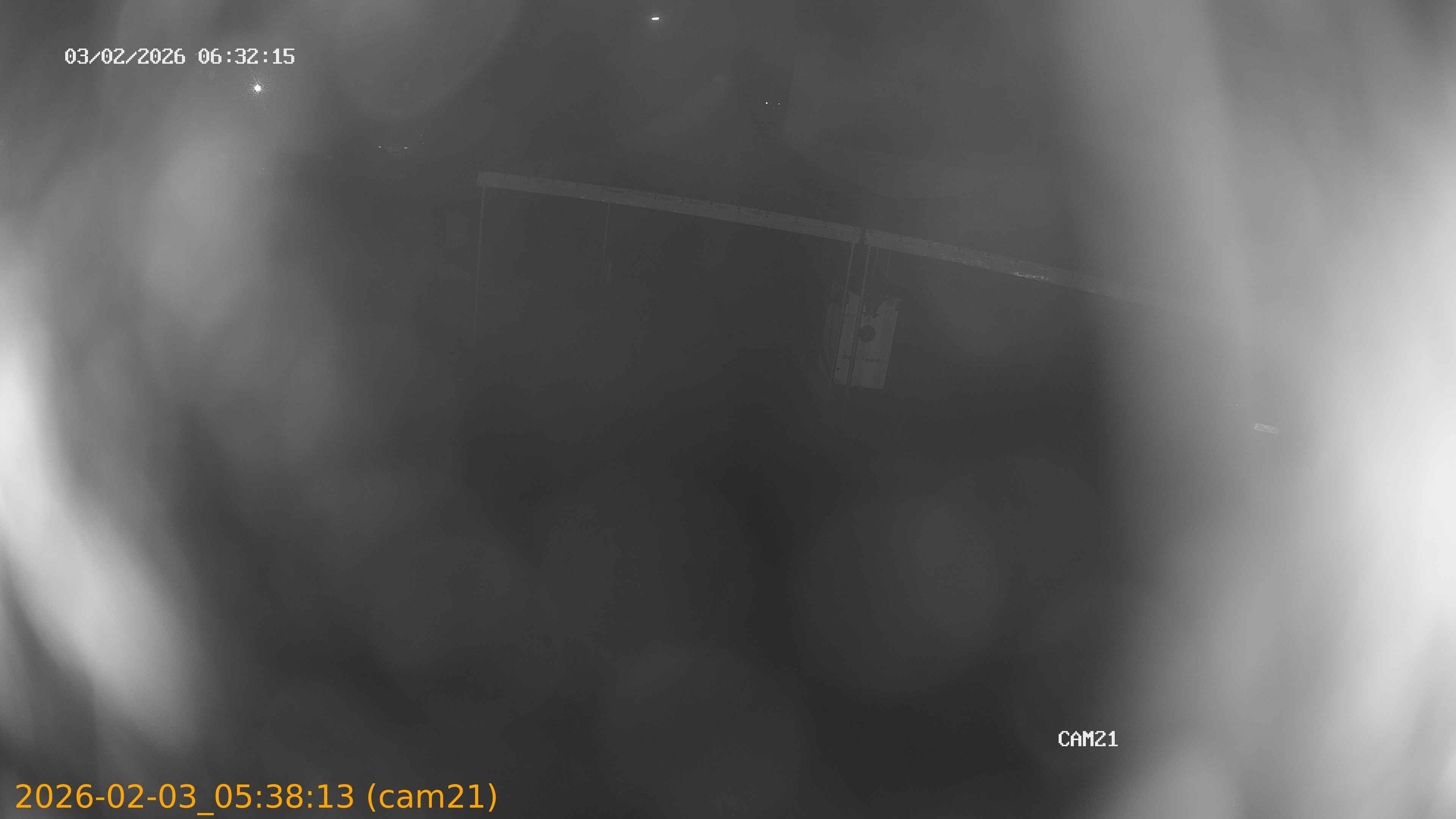 thumbnail_20260203053813