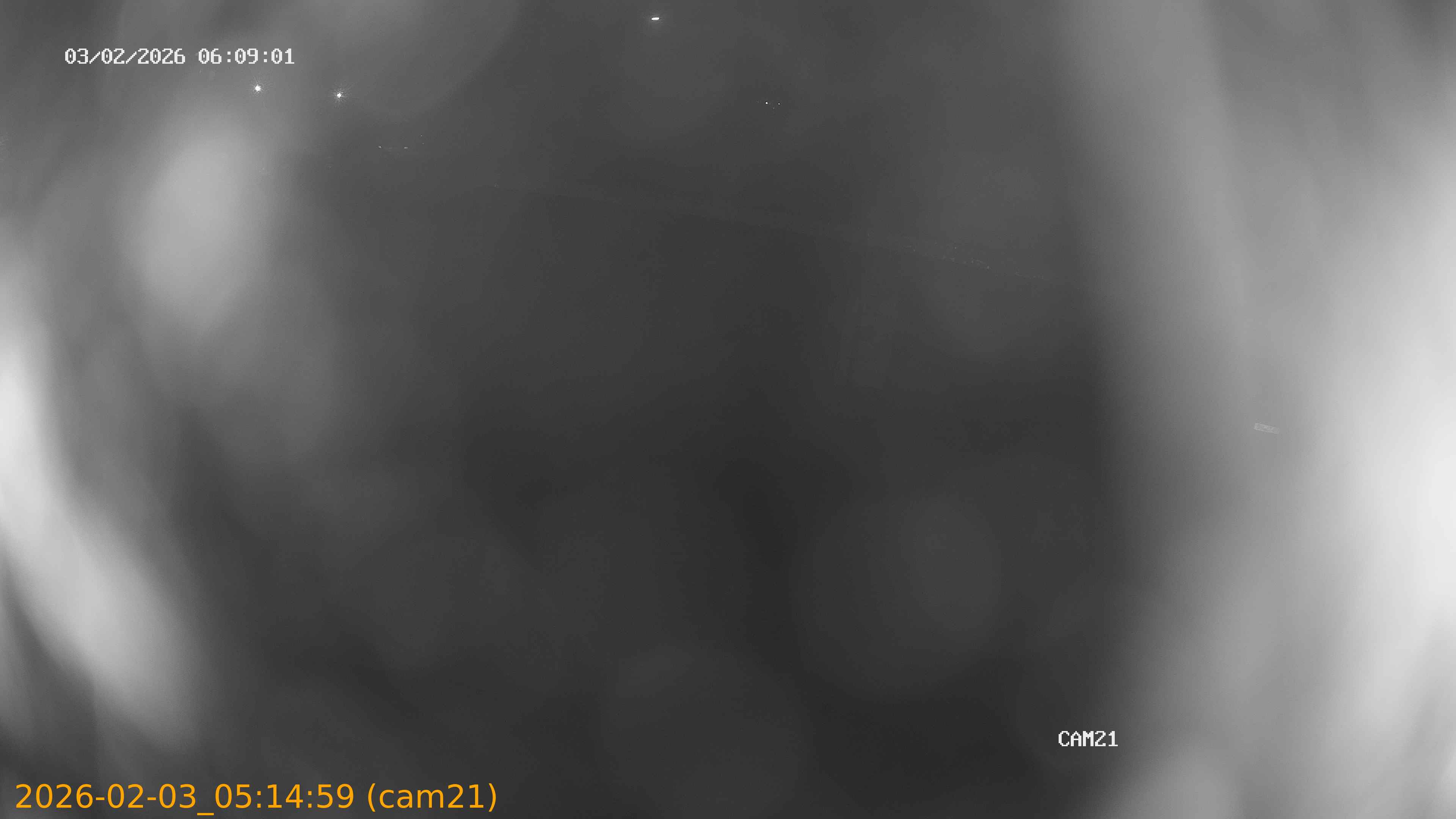 thumbnail_202602030514