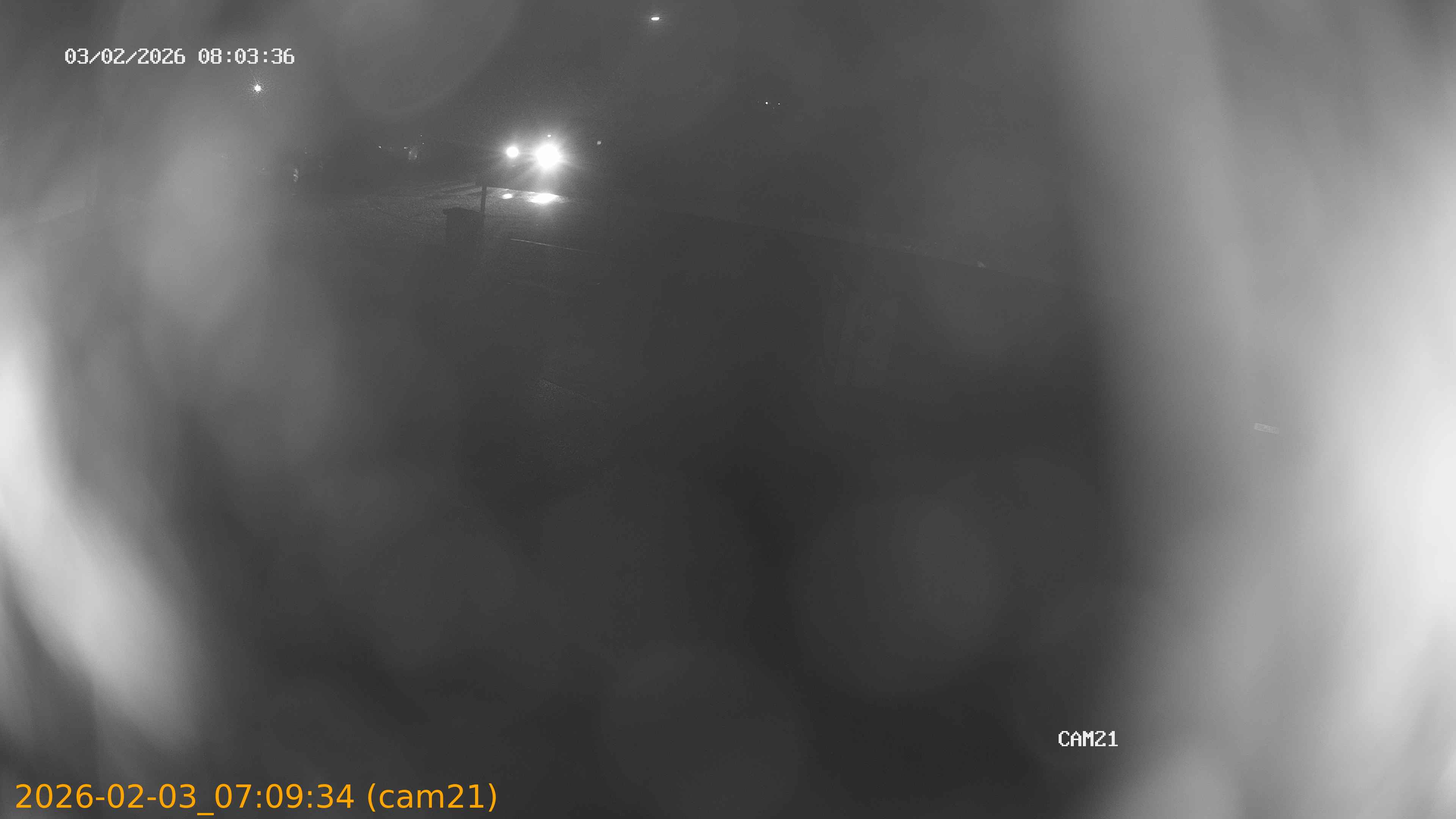 thumbnail_20260203070934