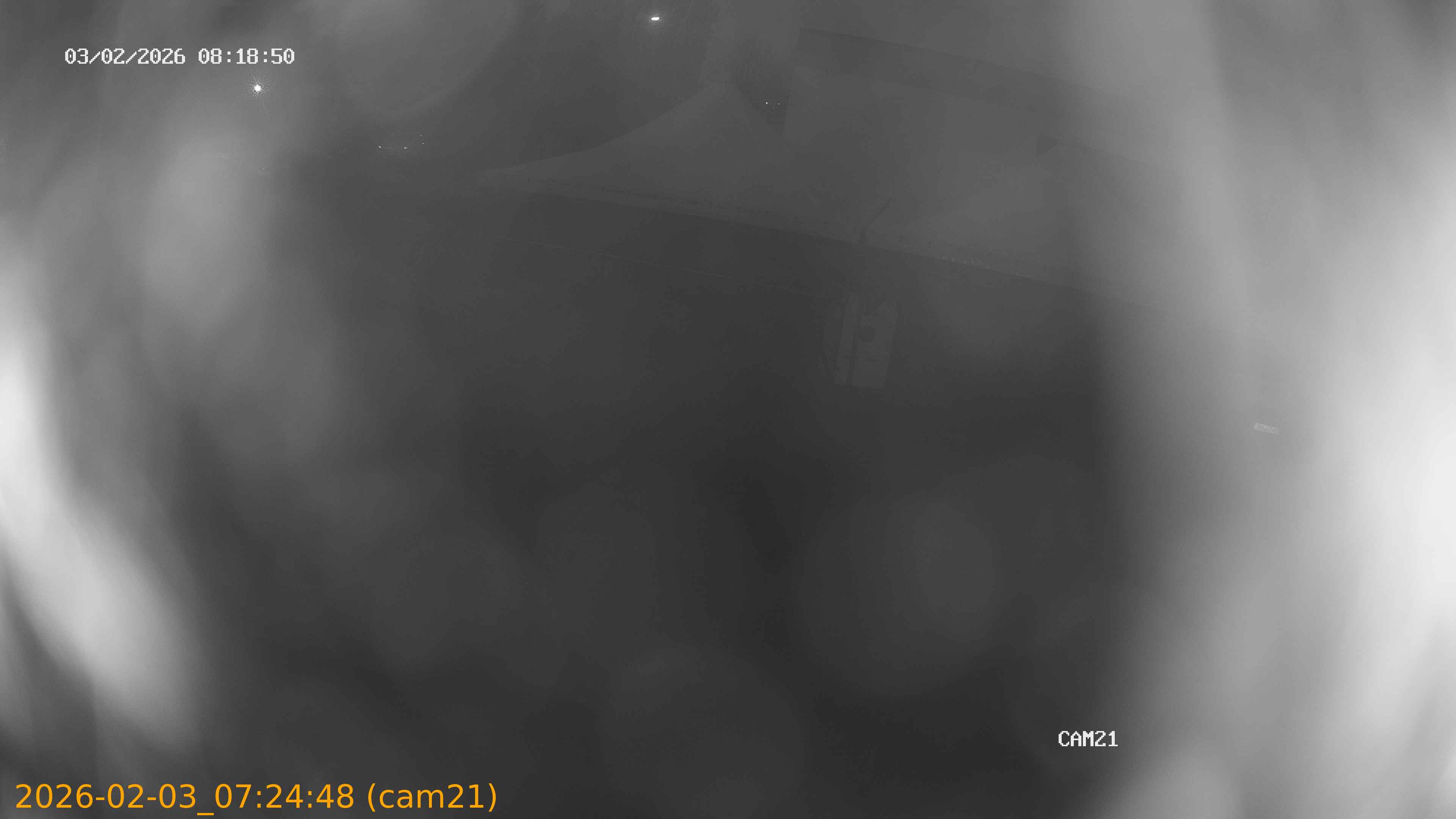 thumbnail_20260203072448