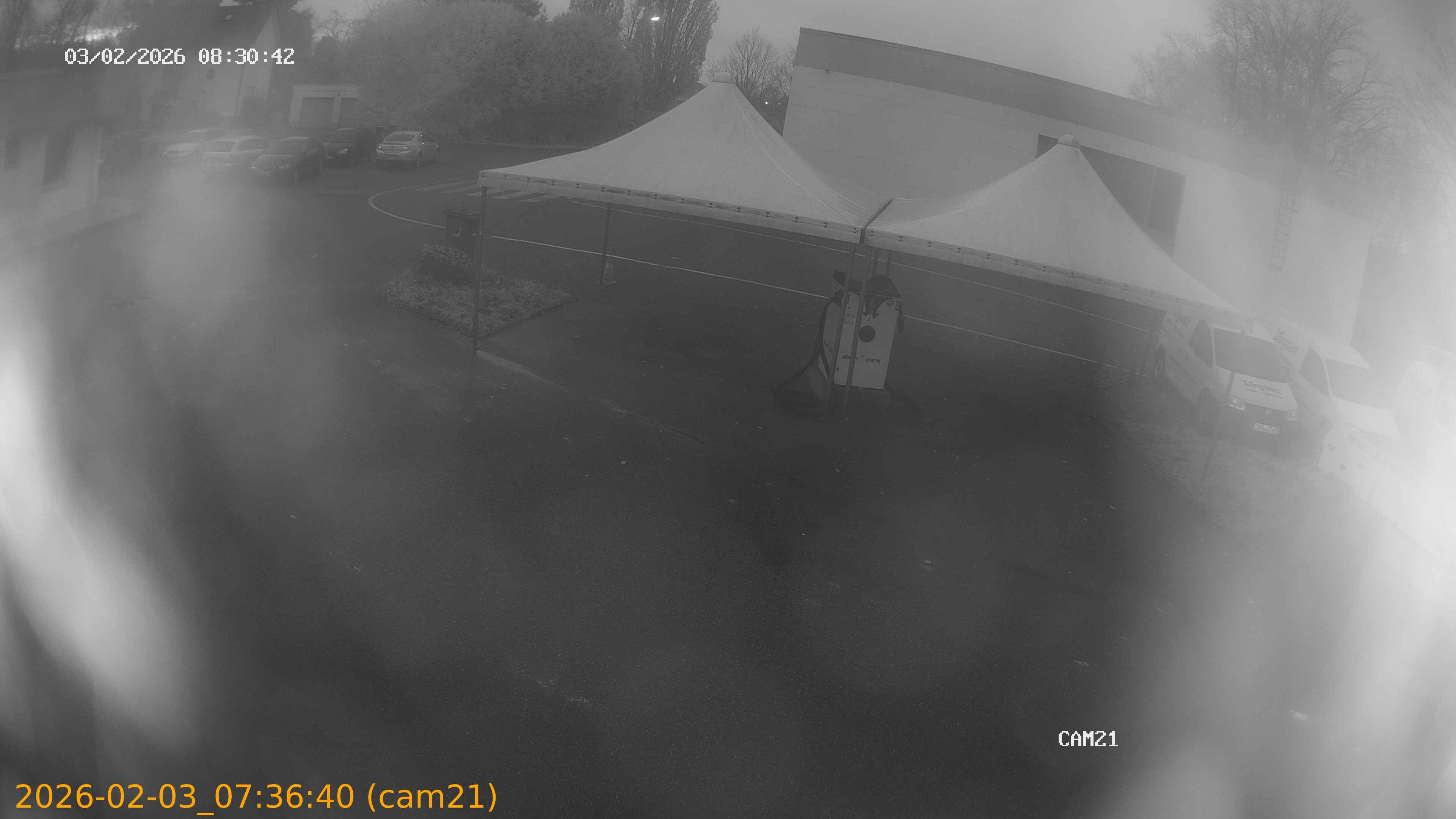 thumbnail_20260203073640