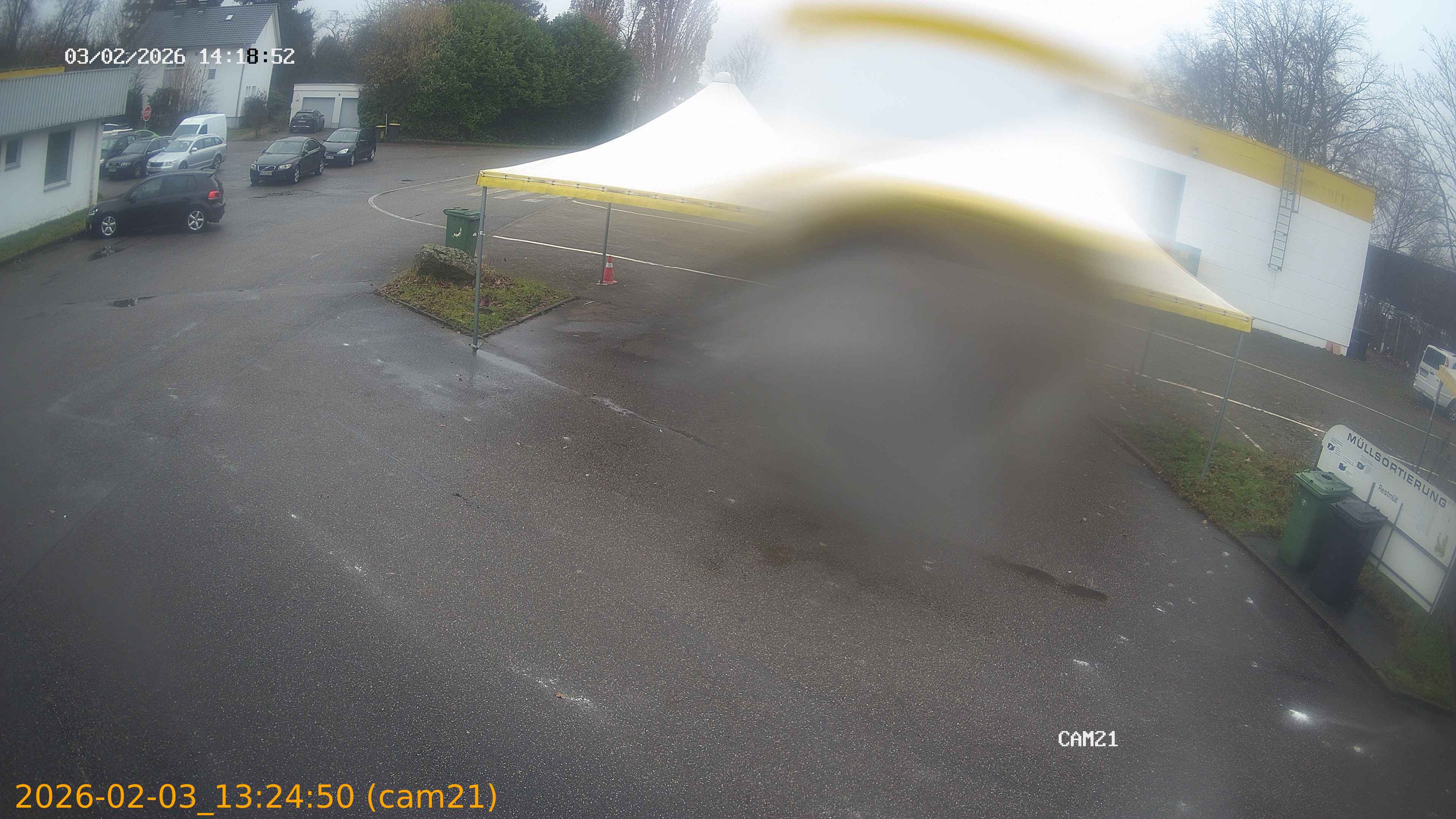 thumbnail_20260203132450